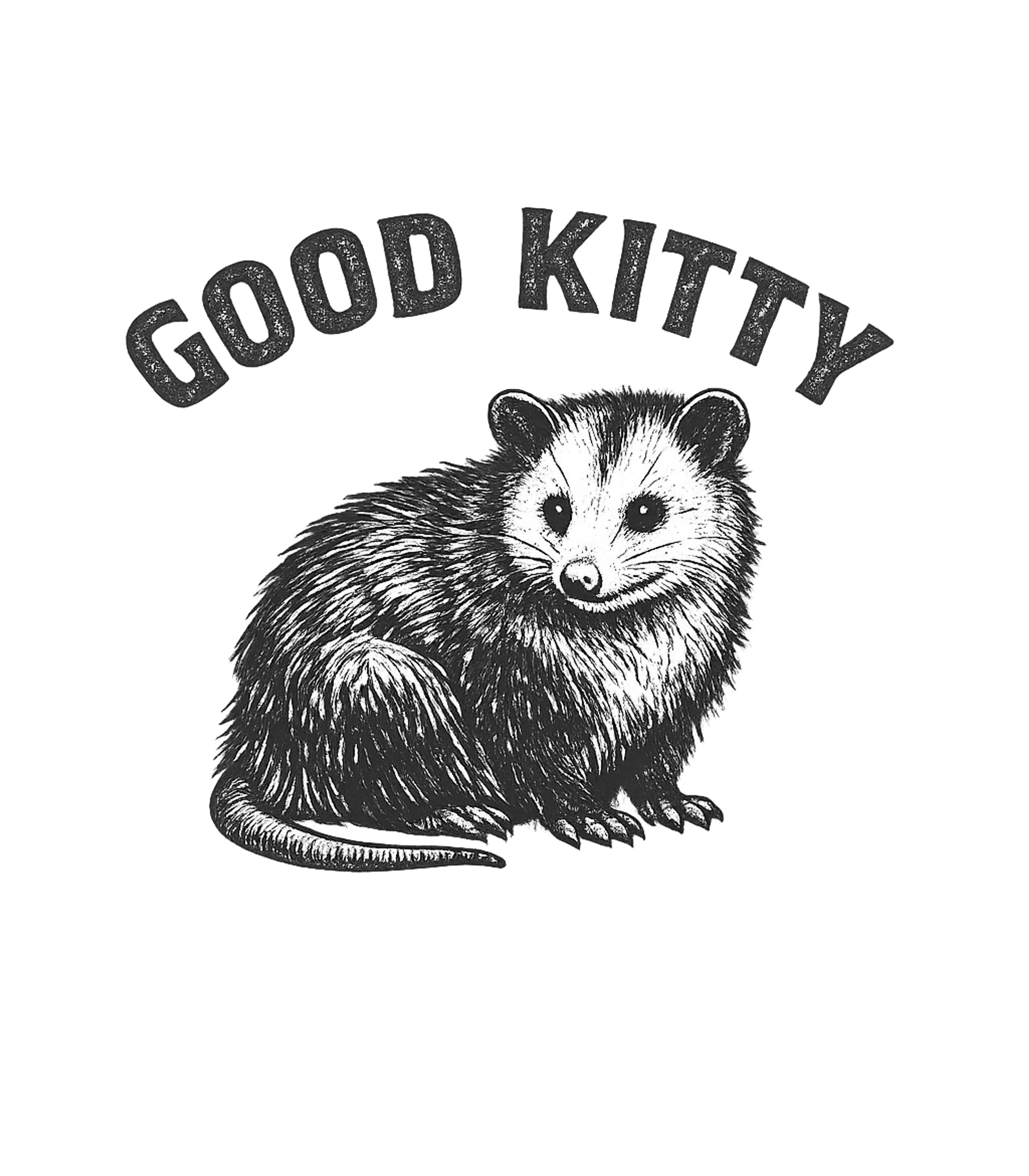 Good Kitty Funny Cute Opossum T-Shirt