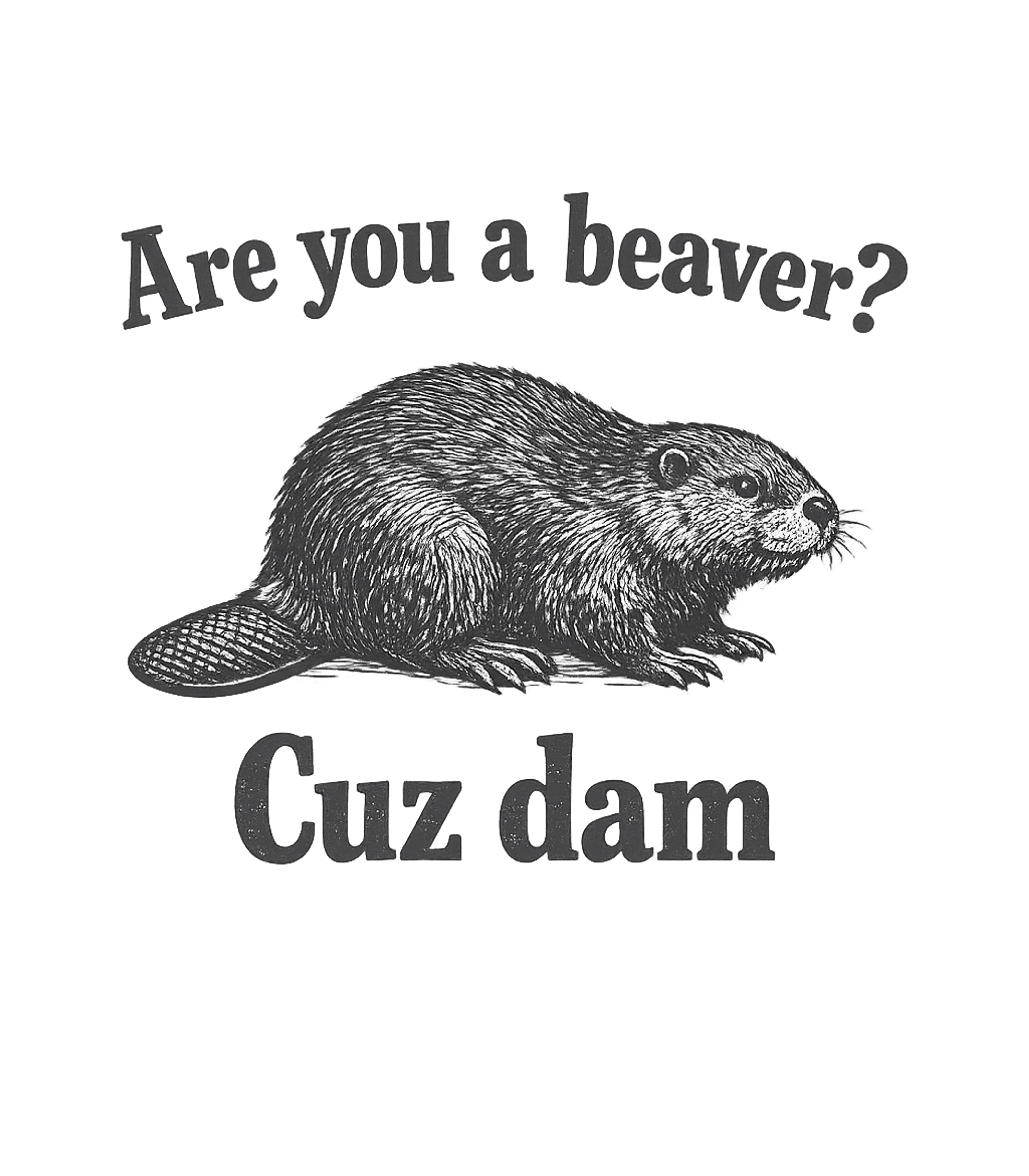 Are You A Beaver Cuz Dam Funny T-Shirt