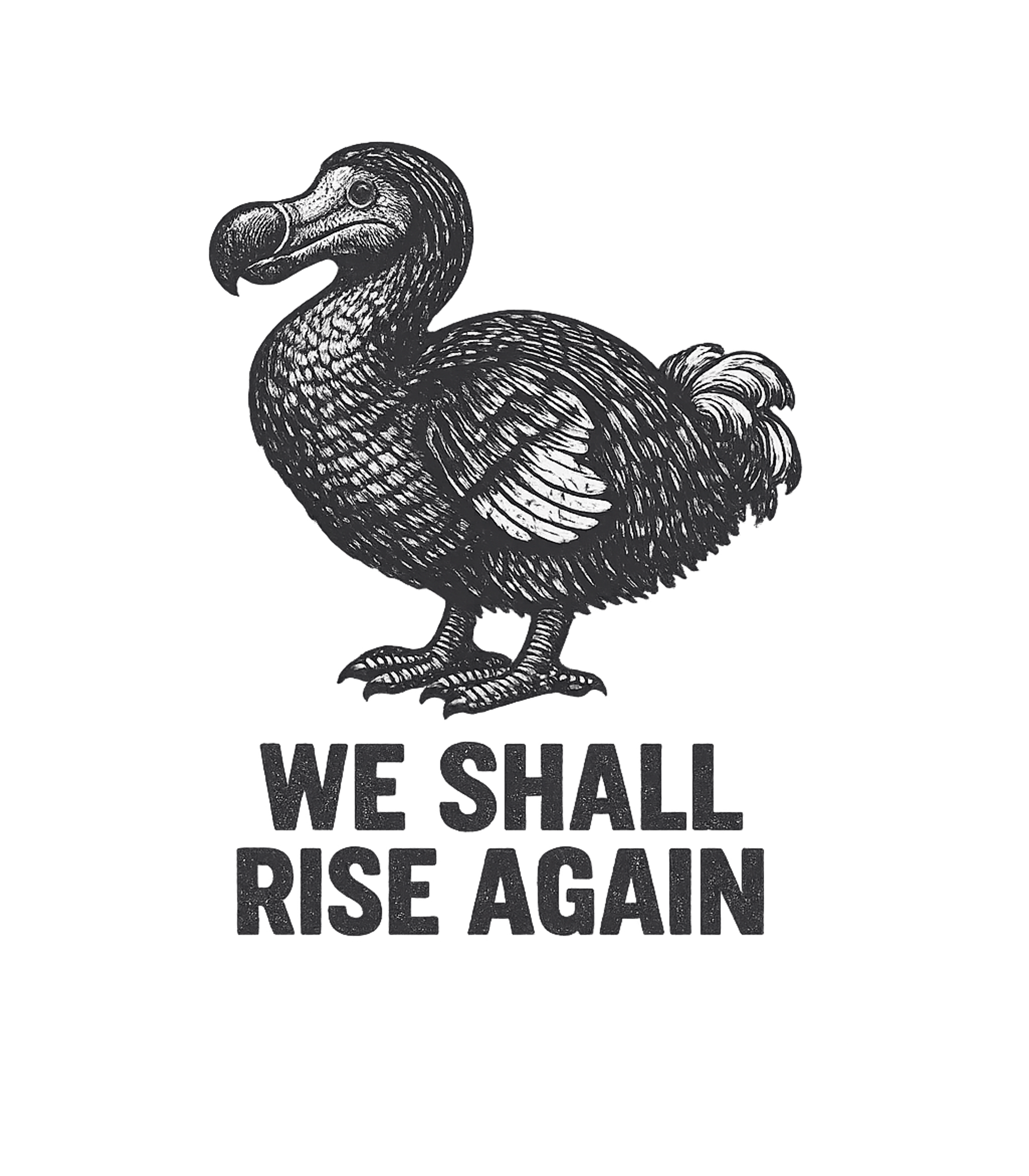 Dodo Will Rise Again