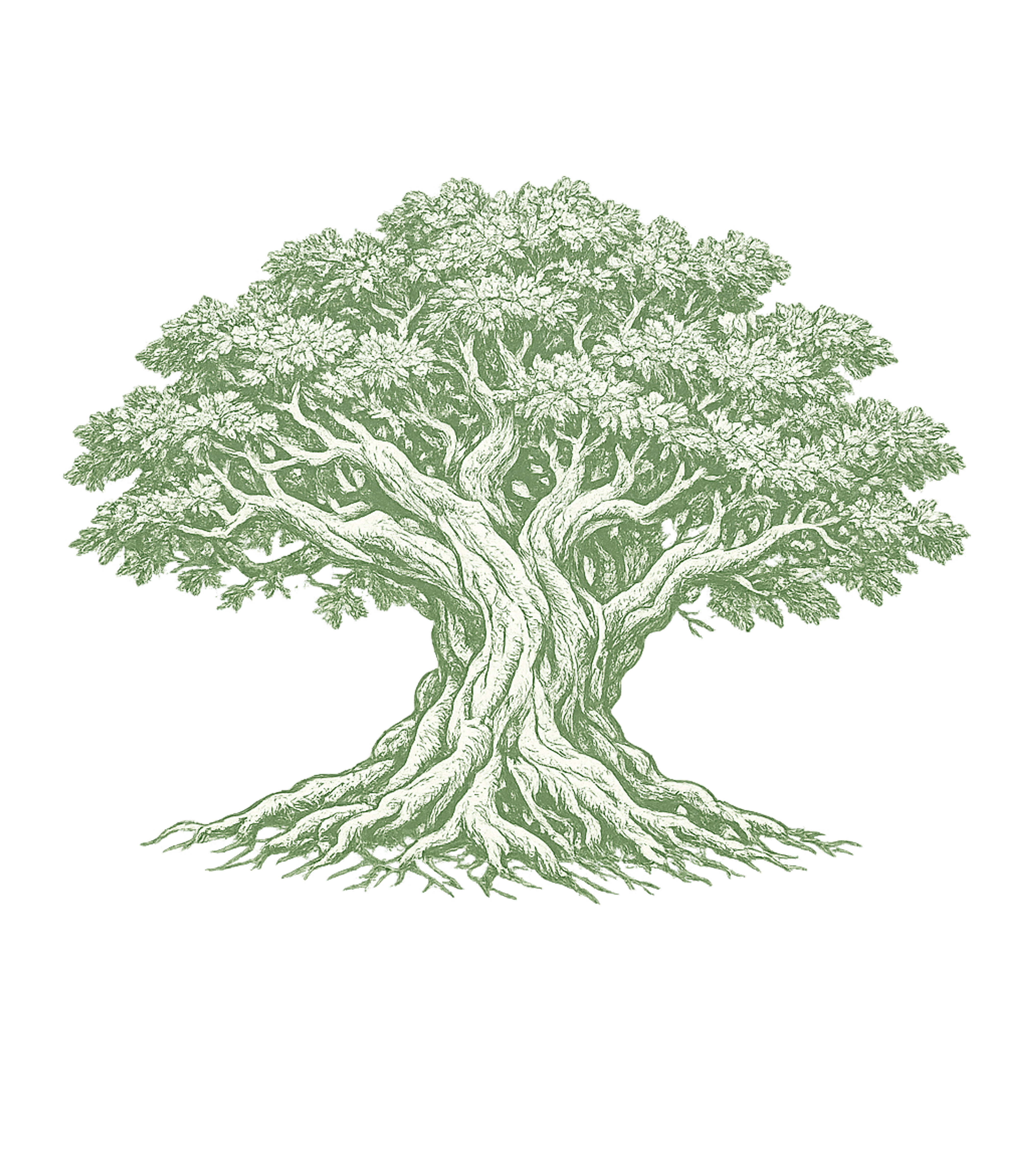 Ancient Tree of Life