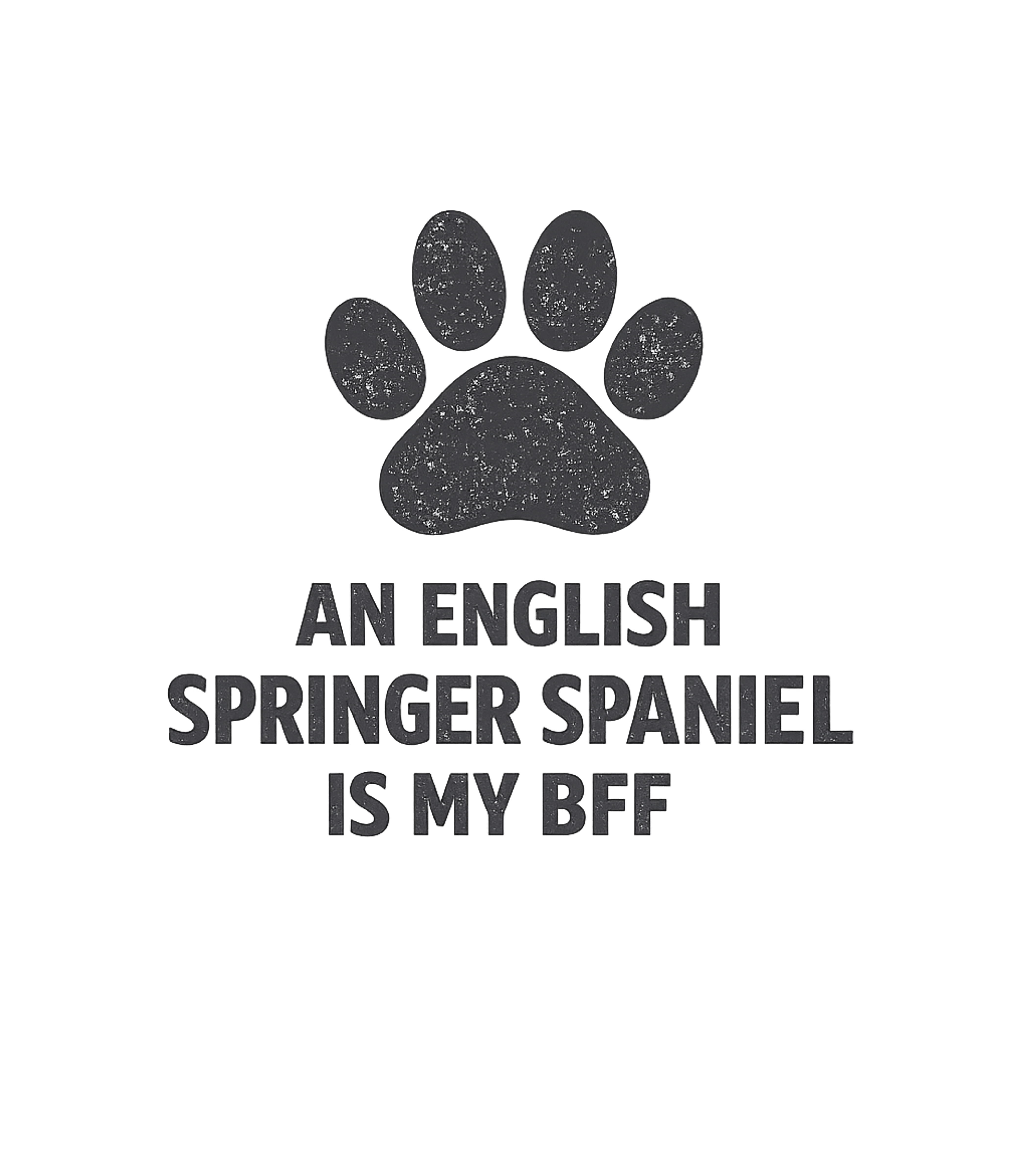 My Springer Spaniel BFF