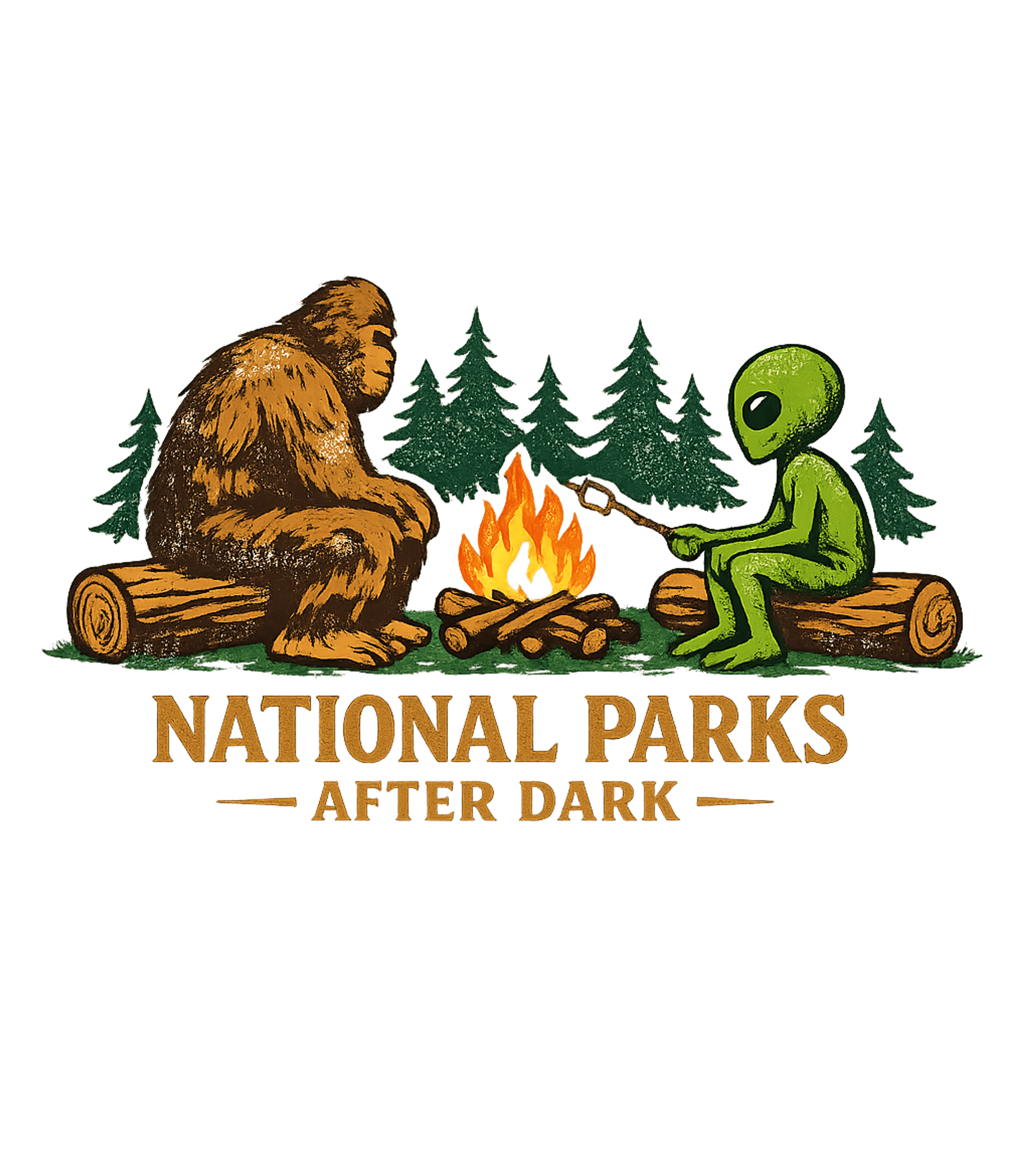 National Parks After Dark Men's T Shirt