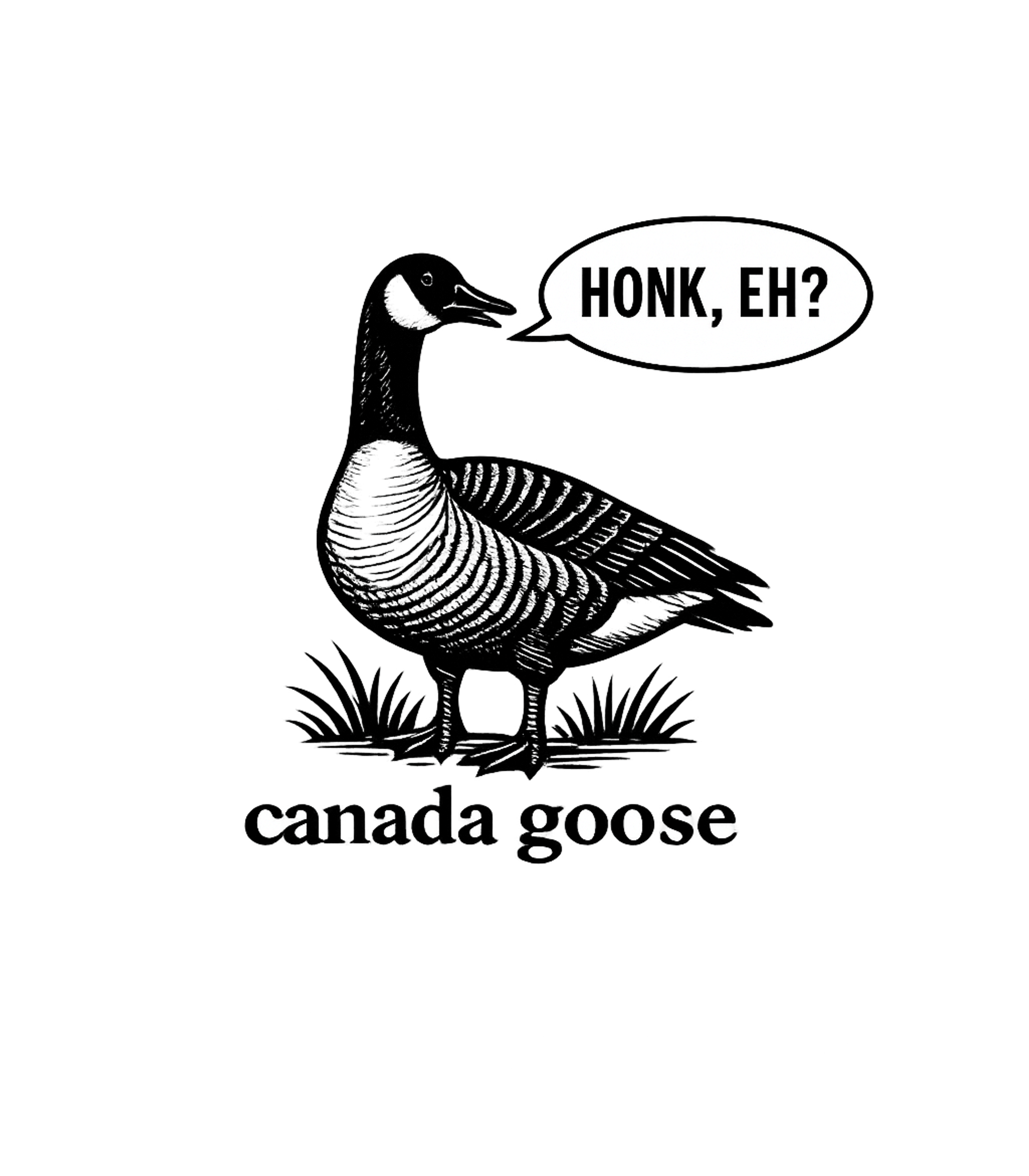 Honk Eh Canada Goose Men's T Shirt