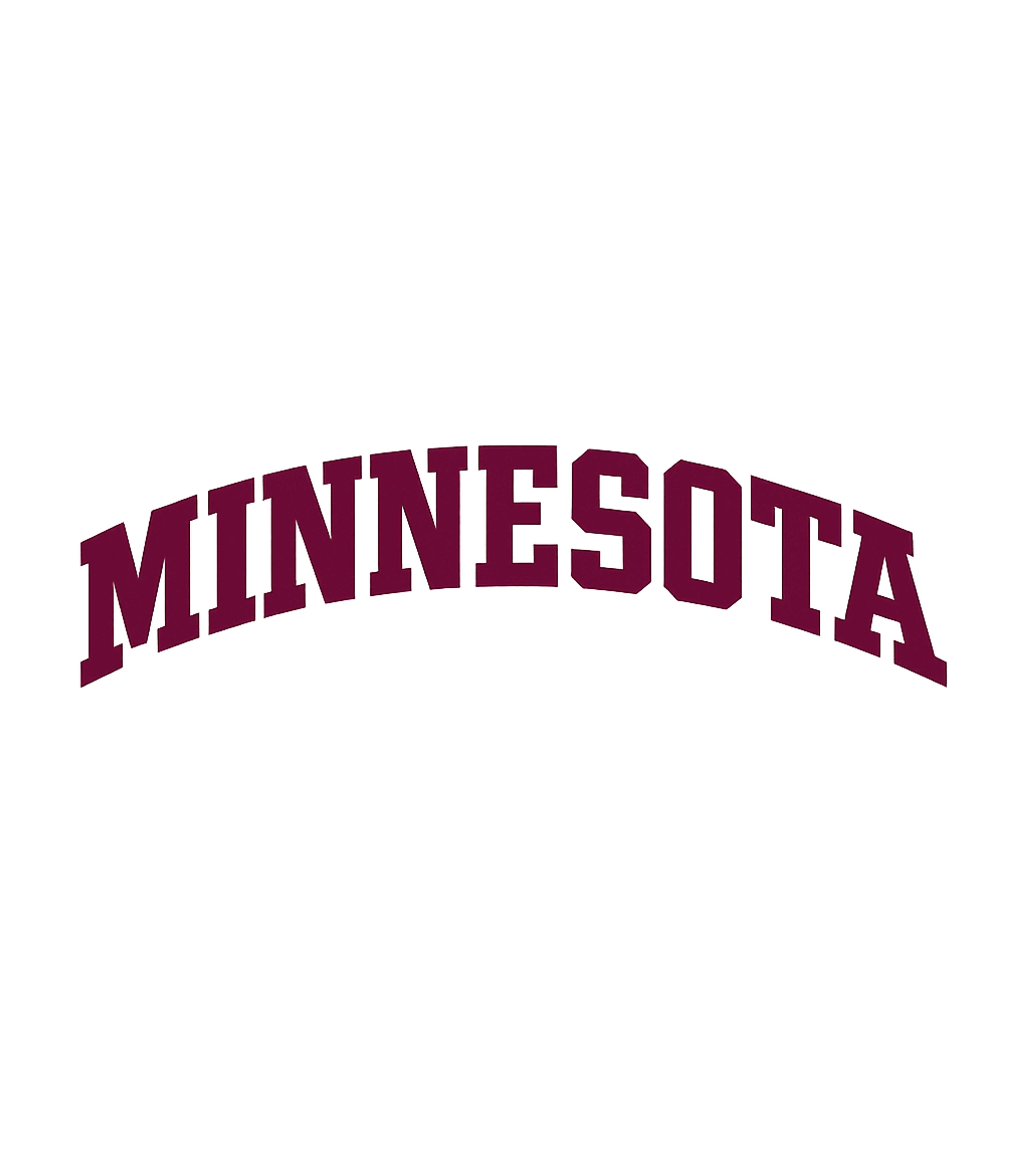 Vintage "Minnesota" University Of Minnesota Champion T-Shirt (2000s)