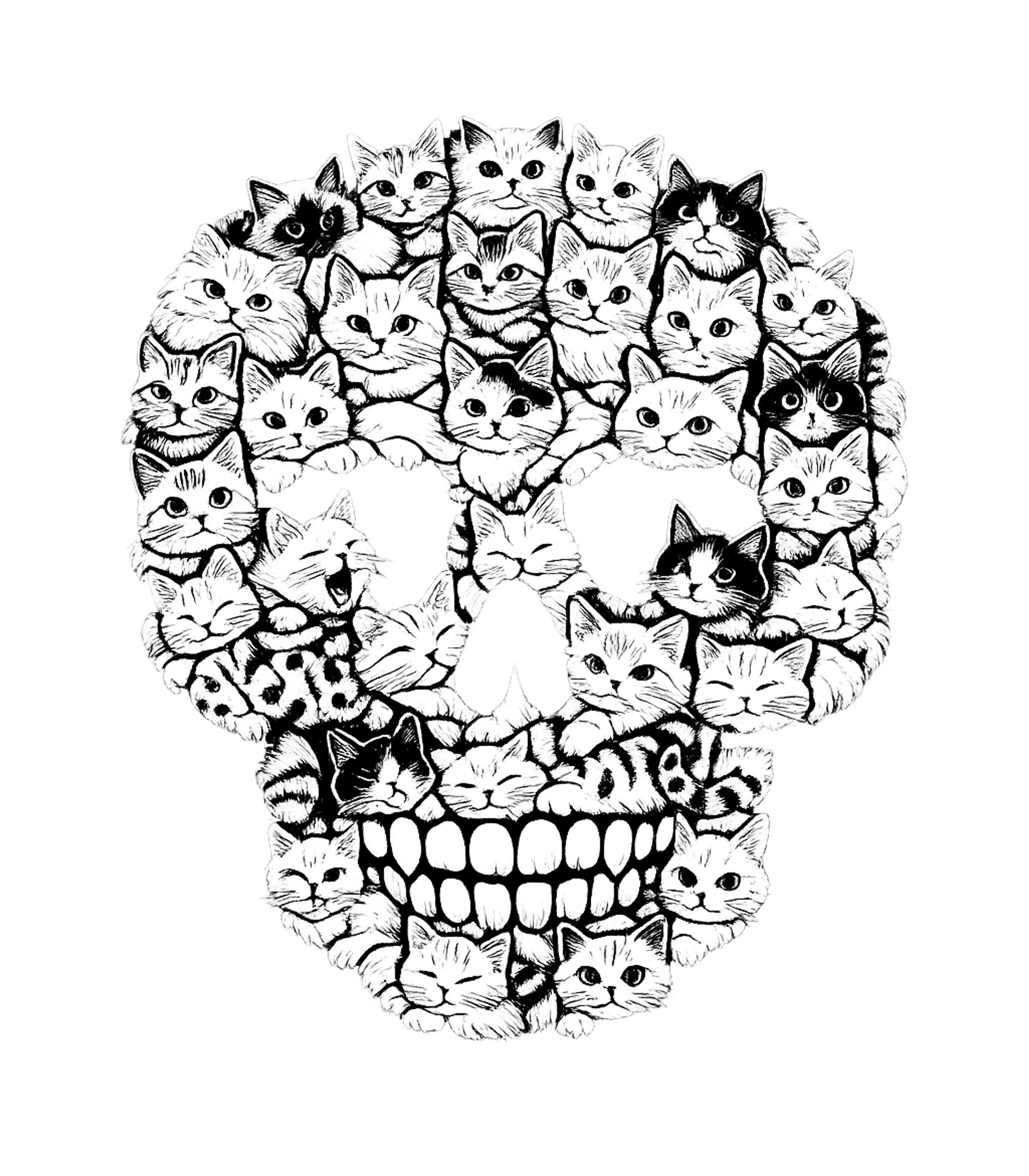 Feline Skull Pile