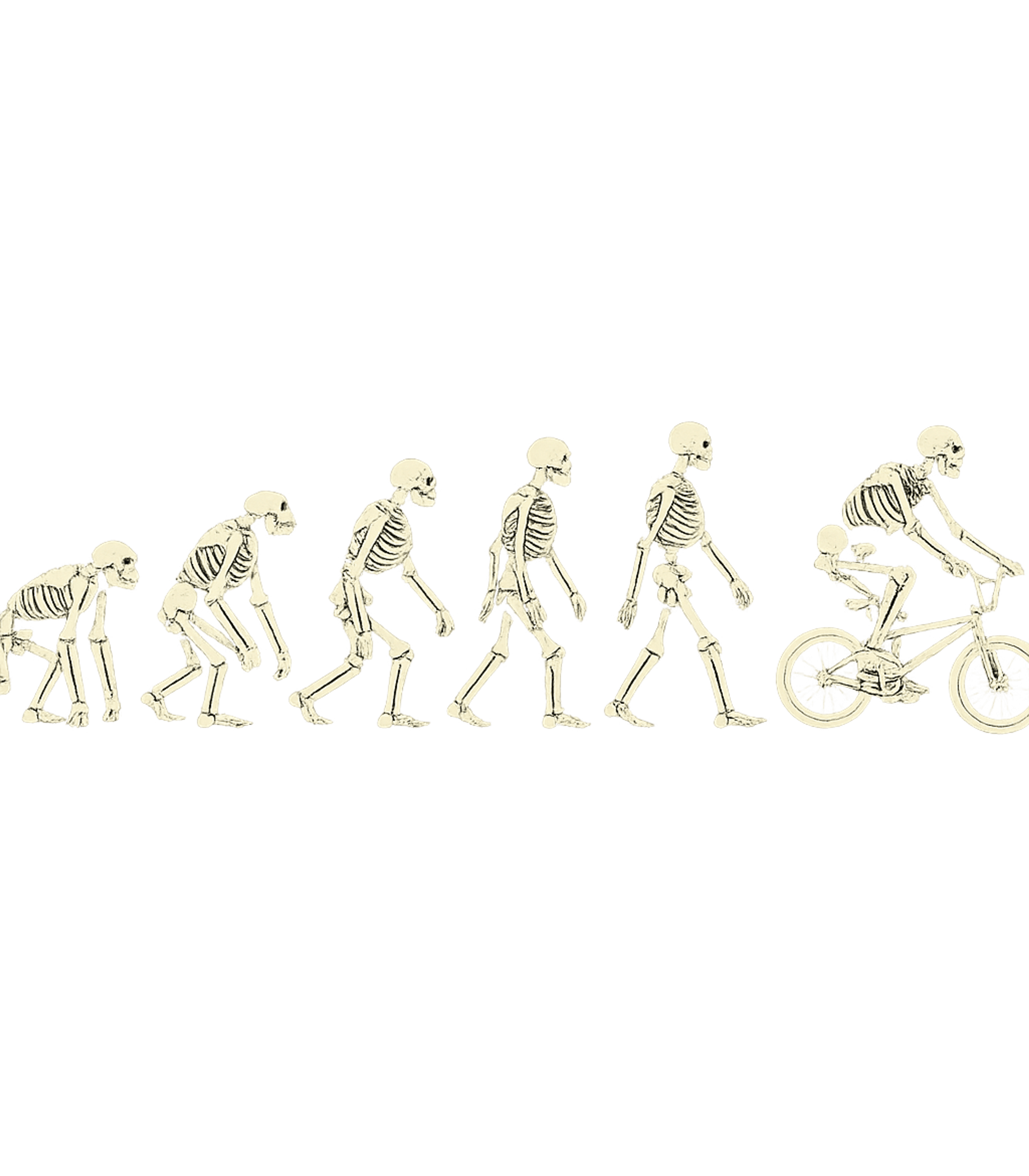 Biking Evolution Theory