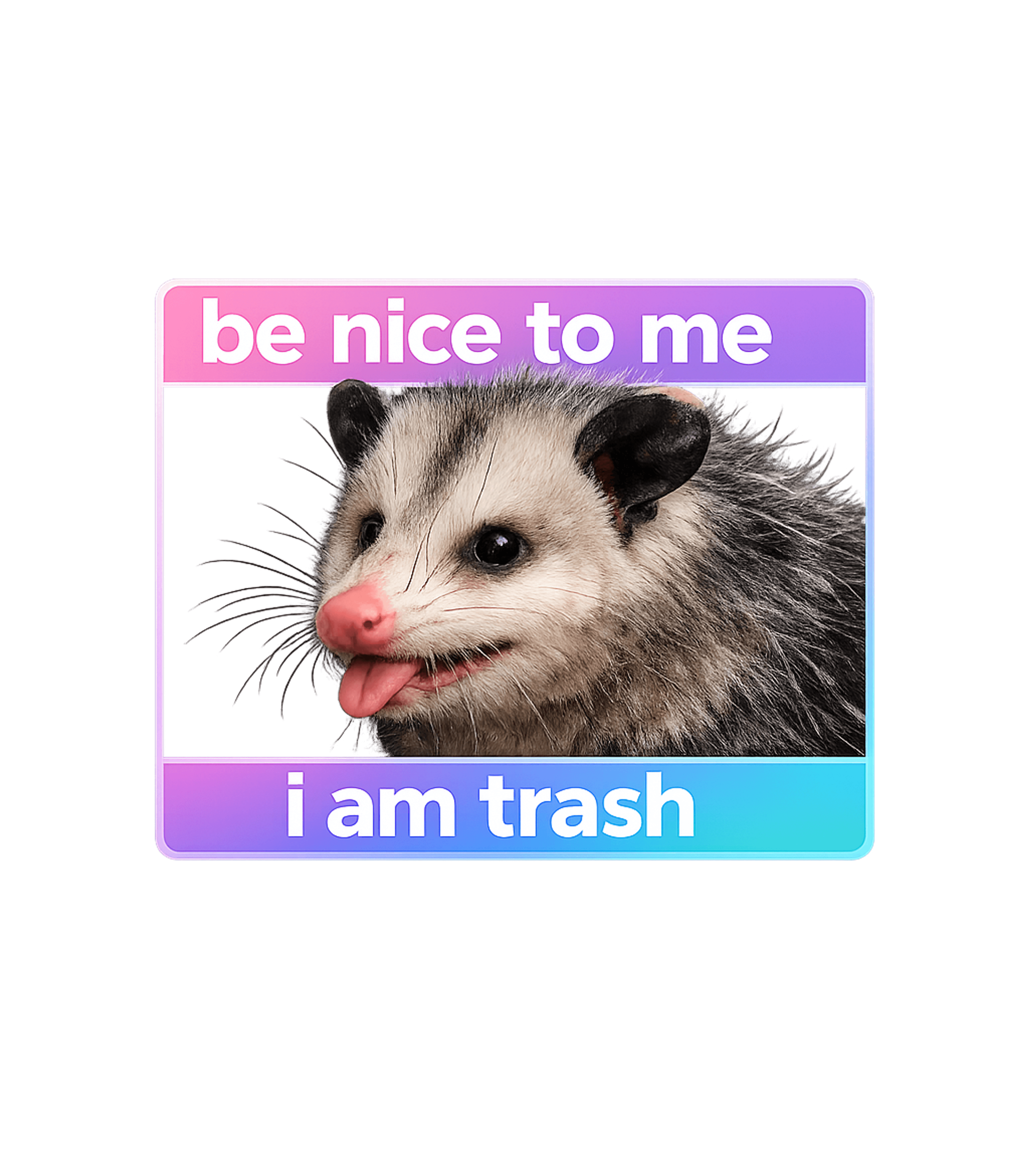 Be Nice I Am Trash