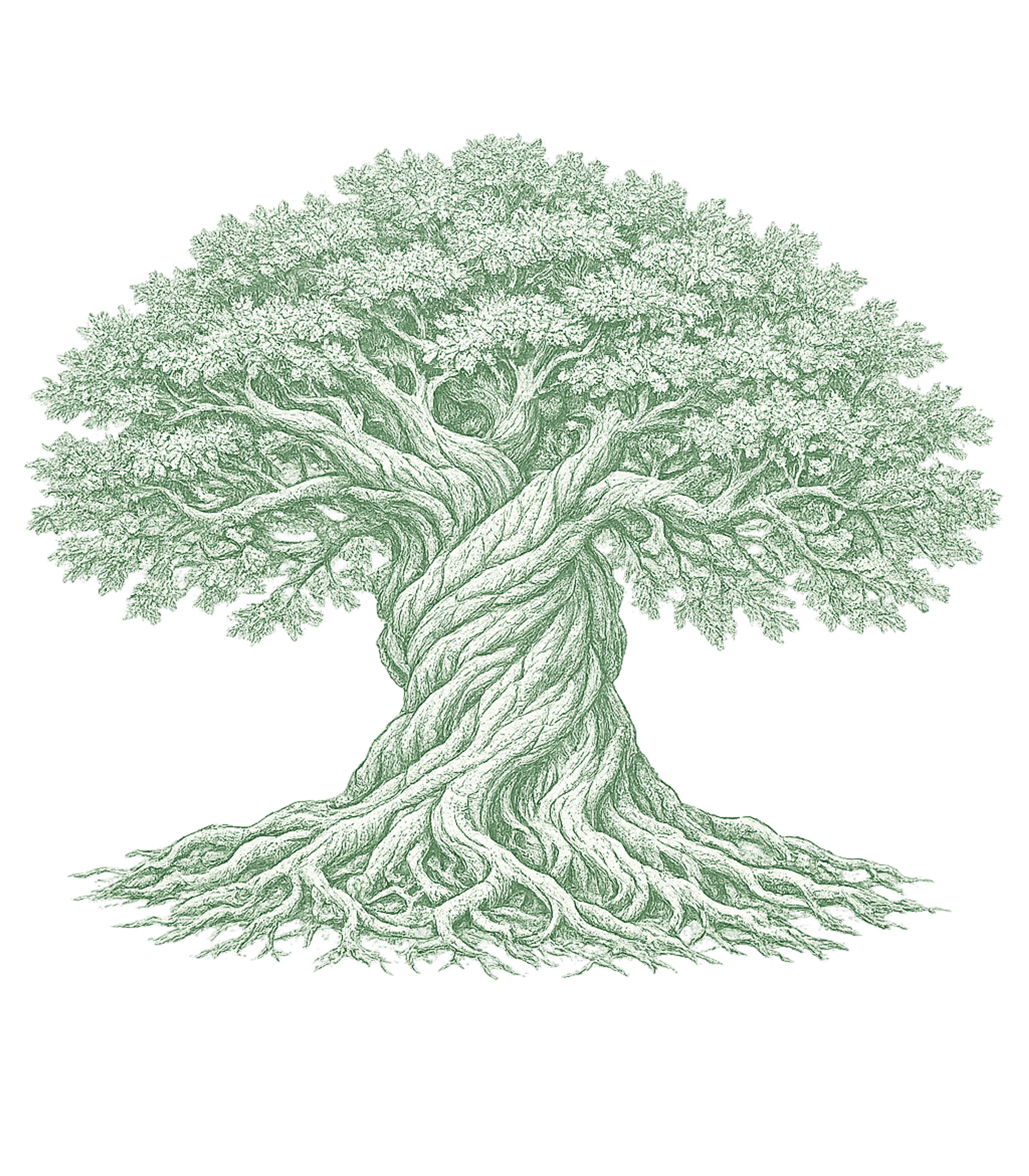 Gnarled Life Tree T-Shirt