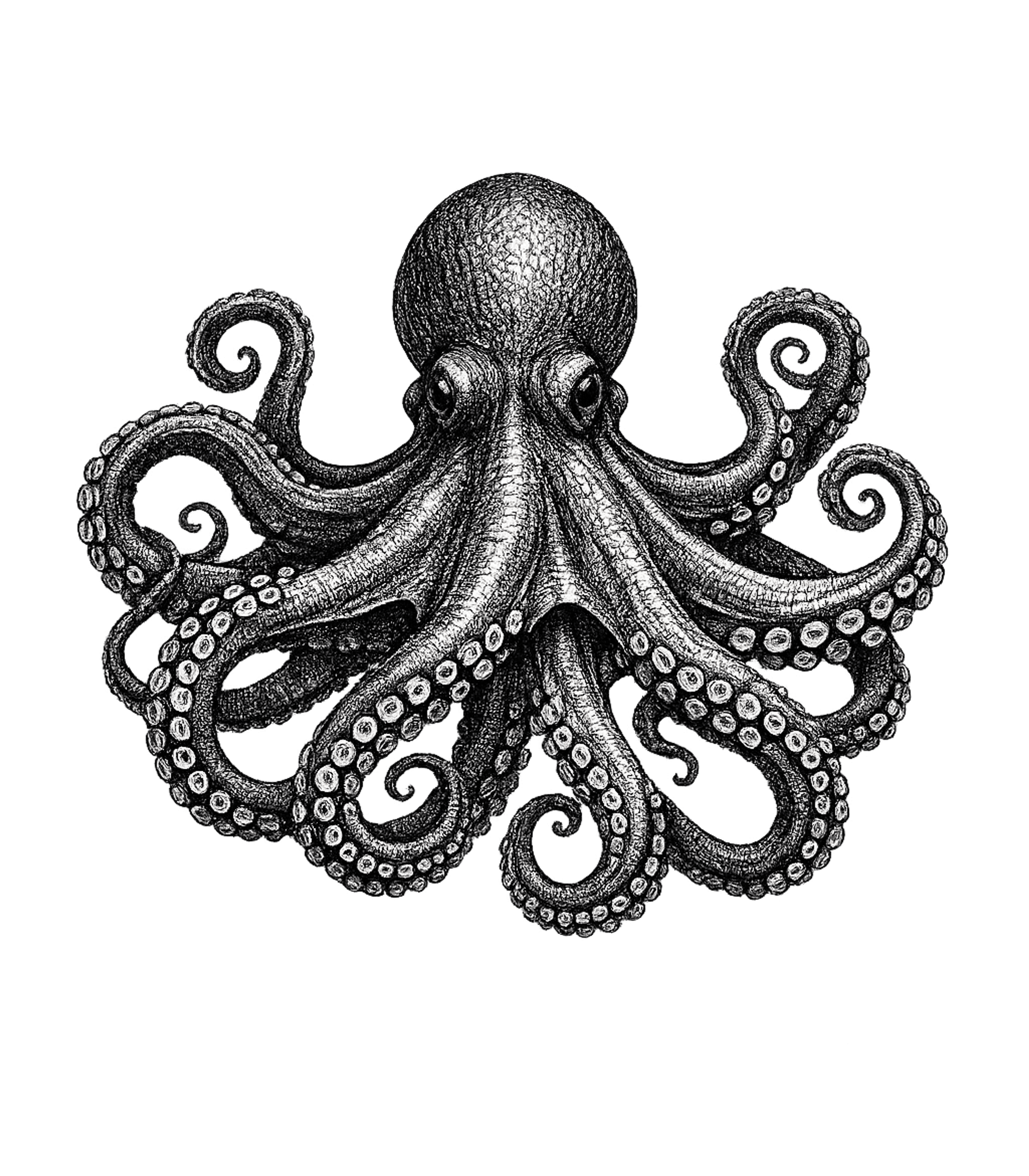 Octopus T-Shirt
