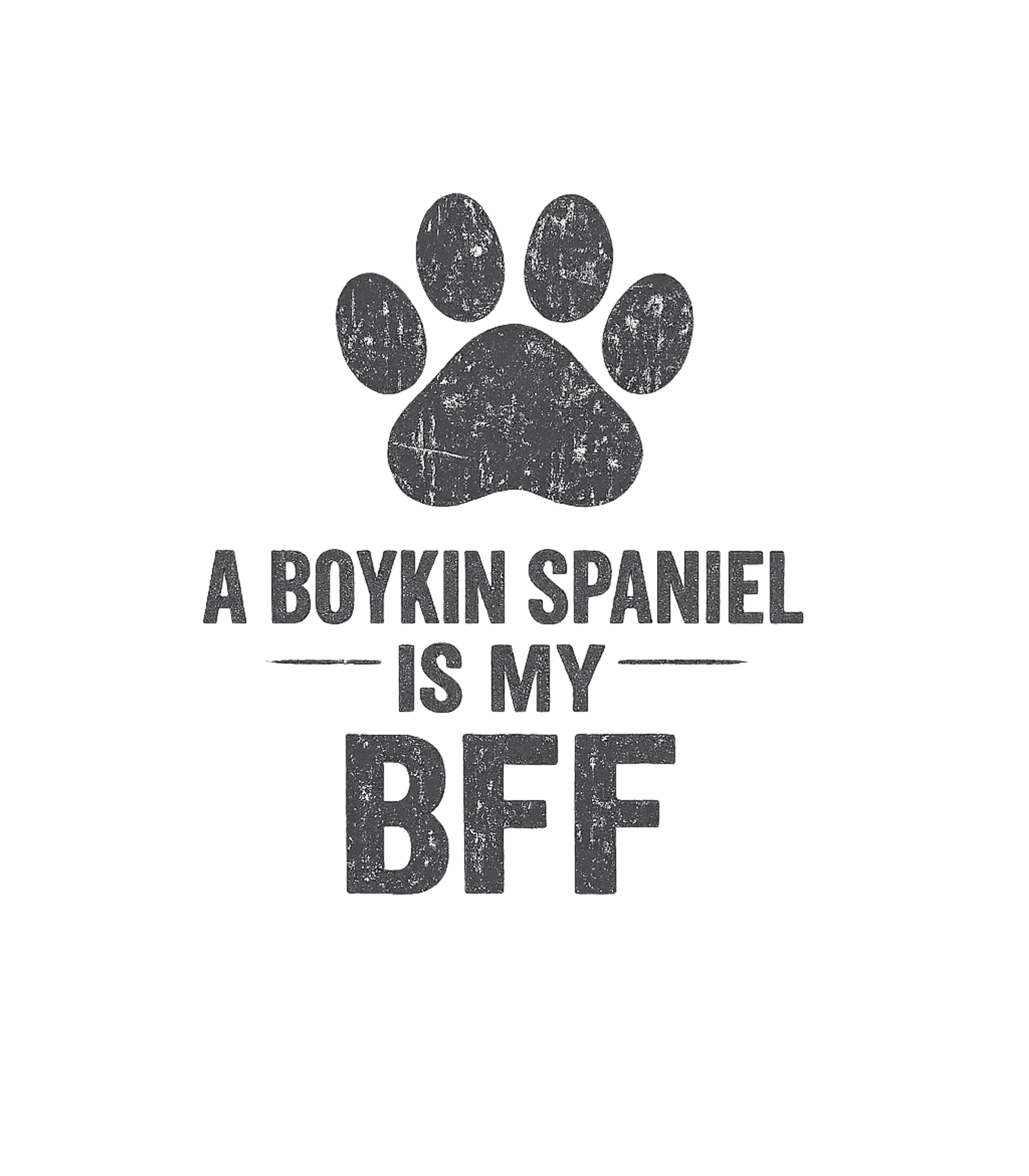 Boykin Spaniel BFF