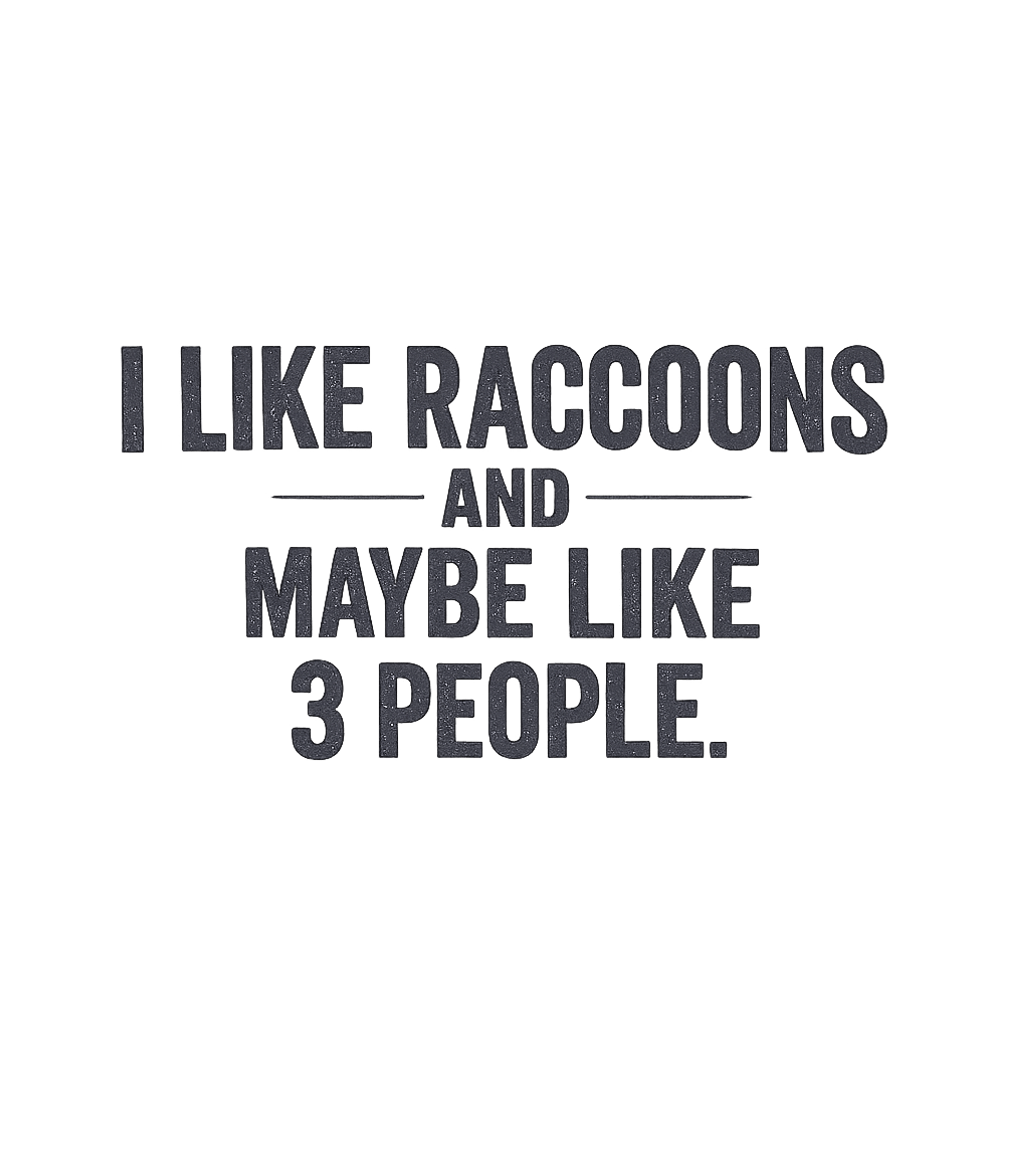 I Like Raccoons