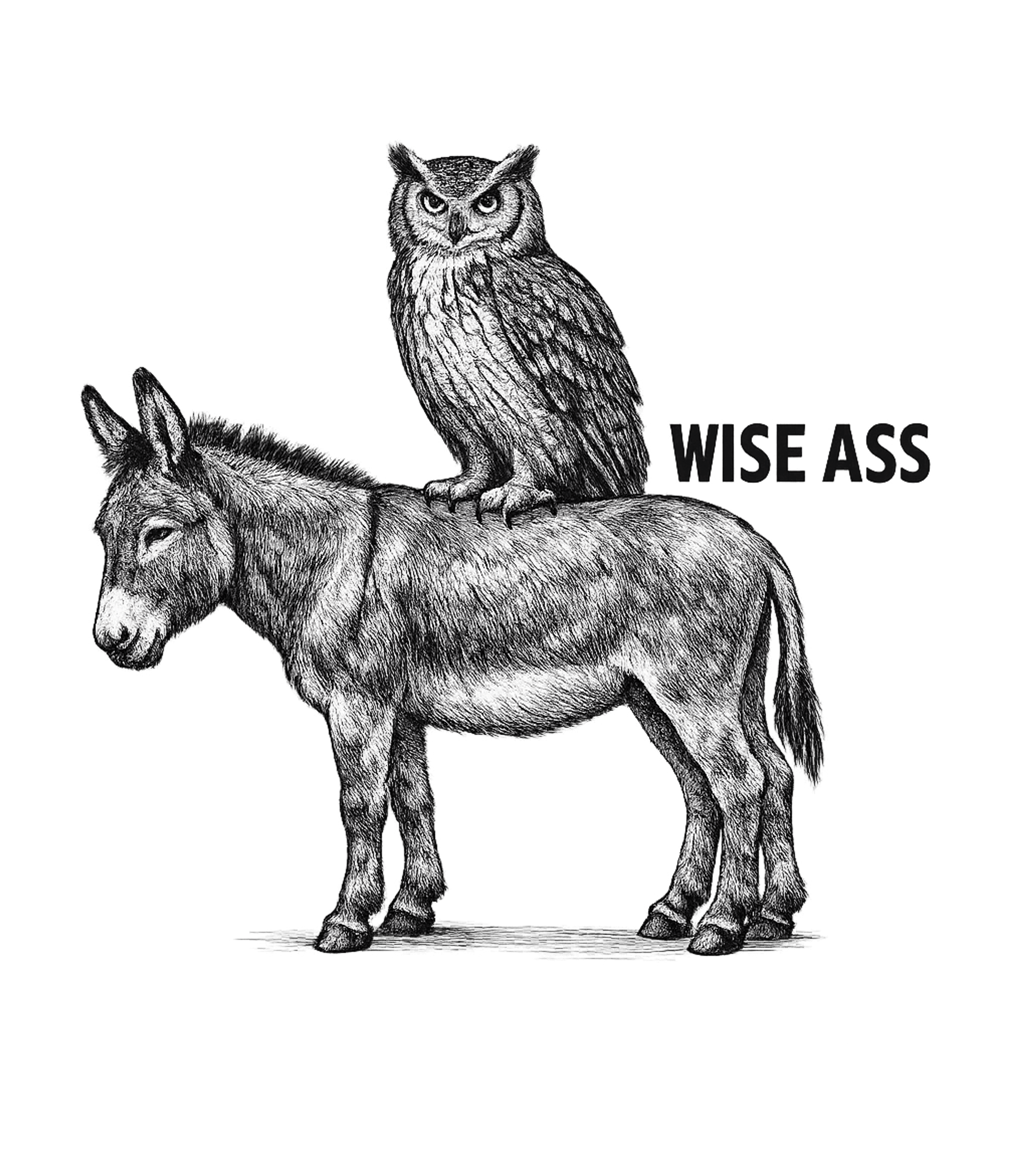 Wise Ass Owl Donkey