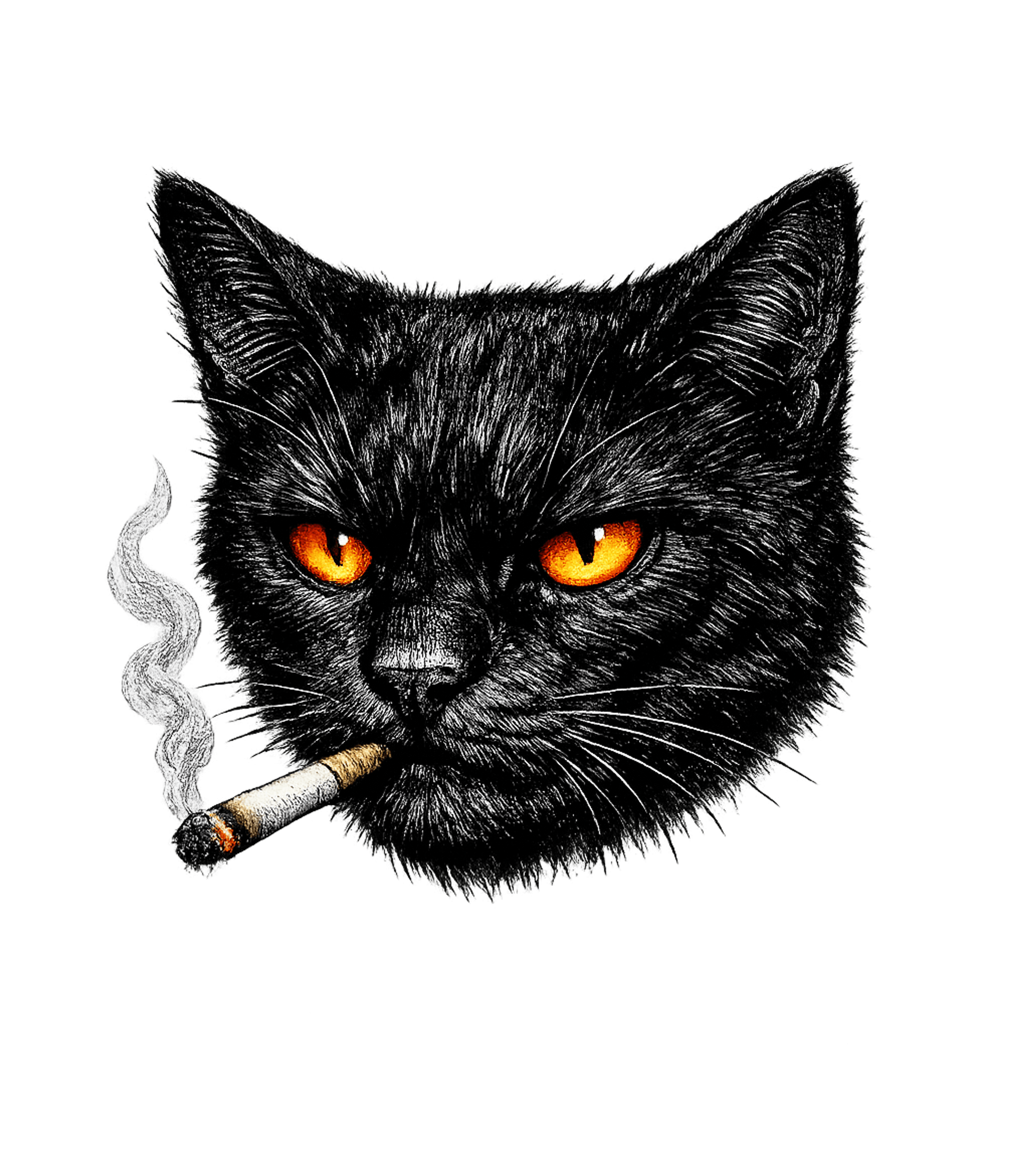 Smoking Black Cat