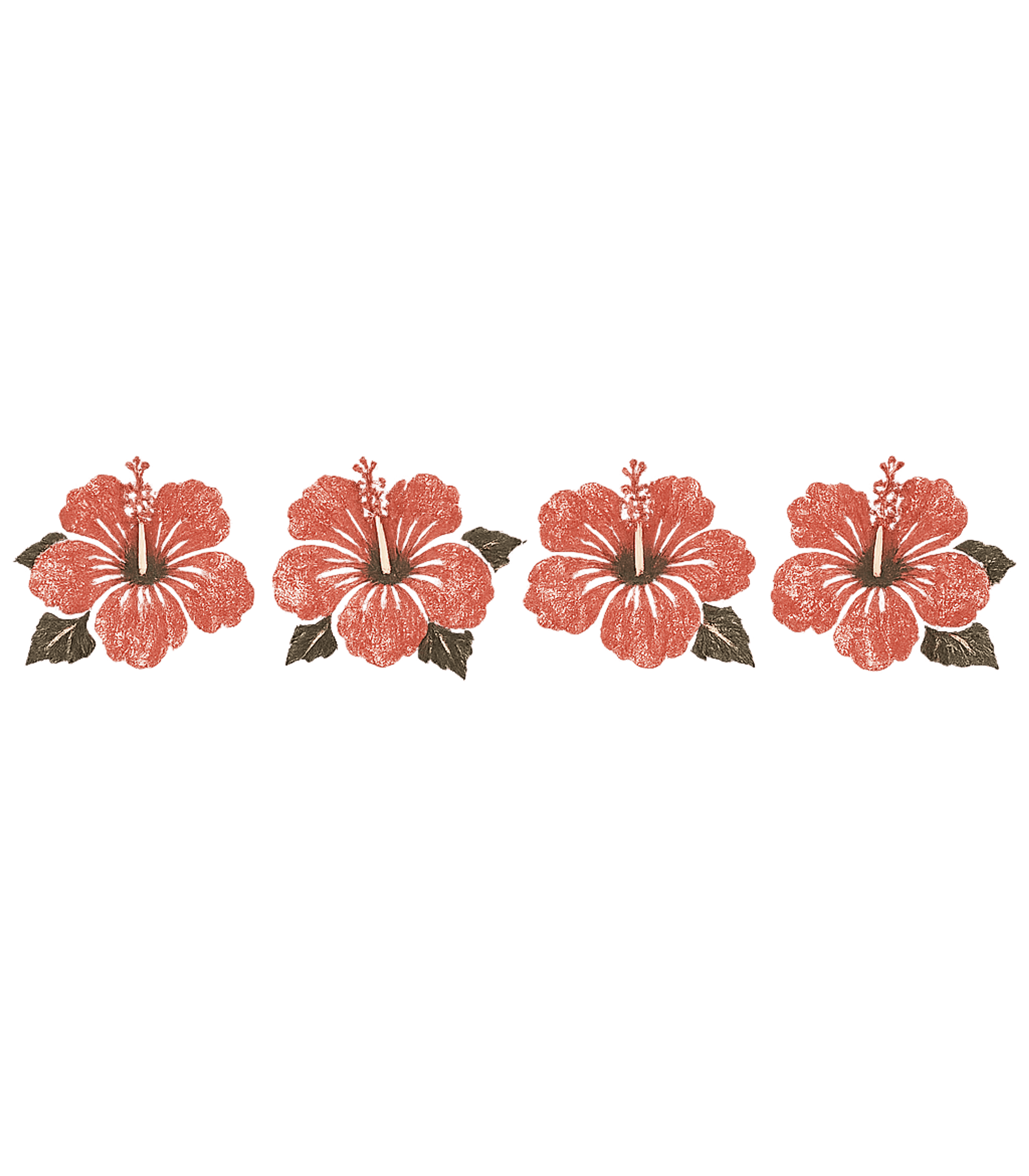 Tropical Hibiscus Flower Row