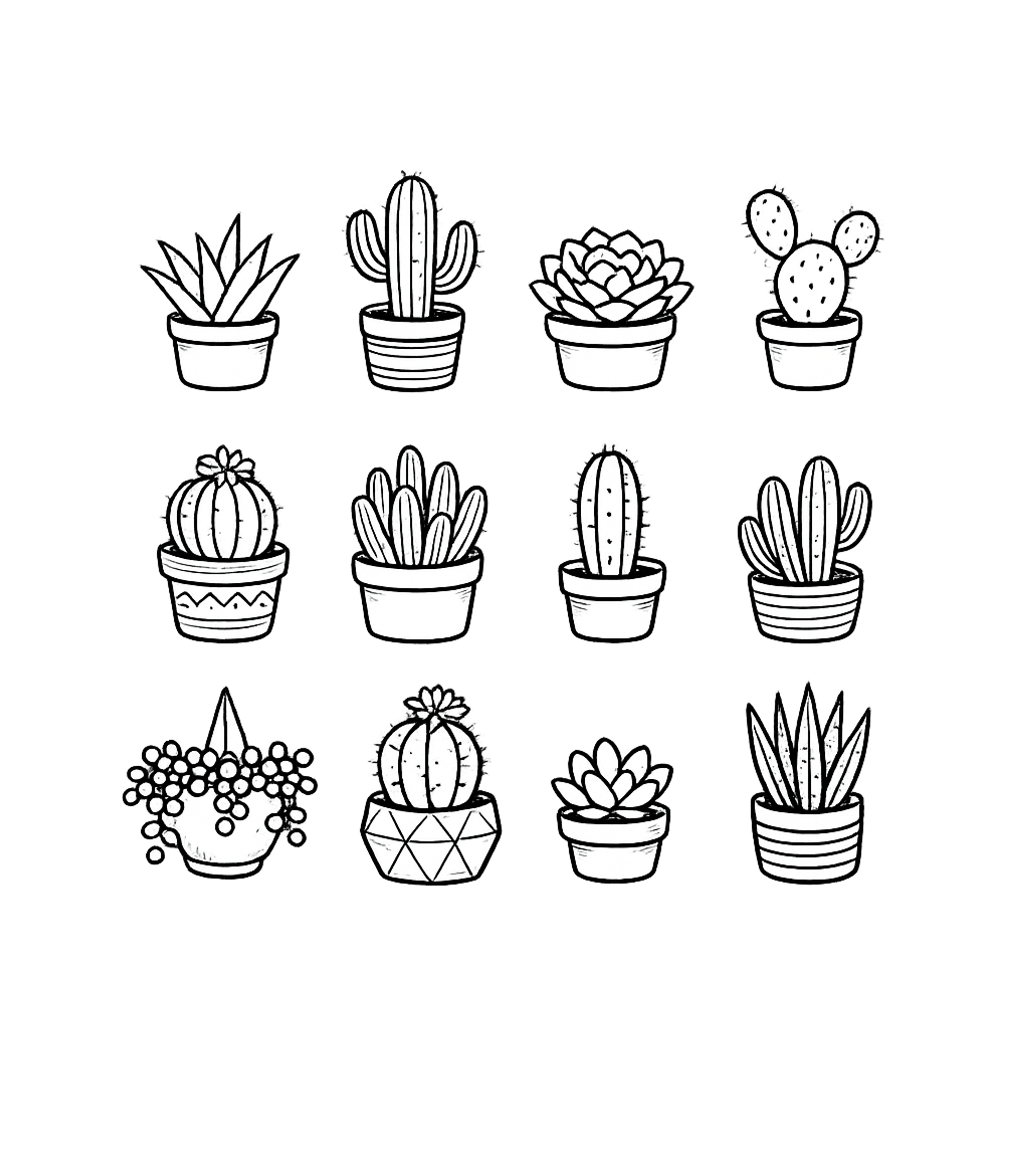 Cute Cactus Succulent T-Shirt