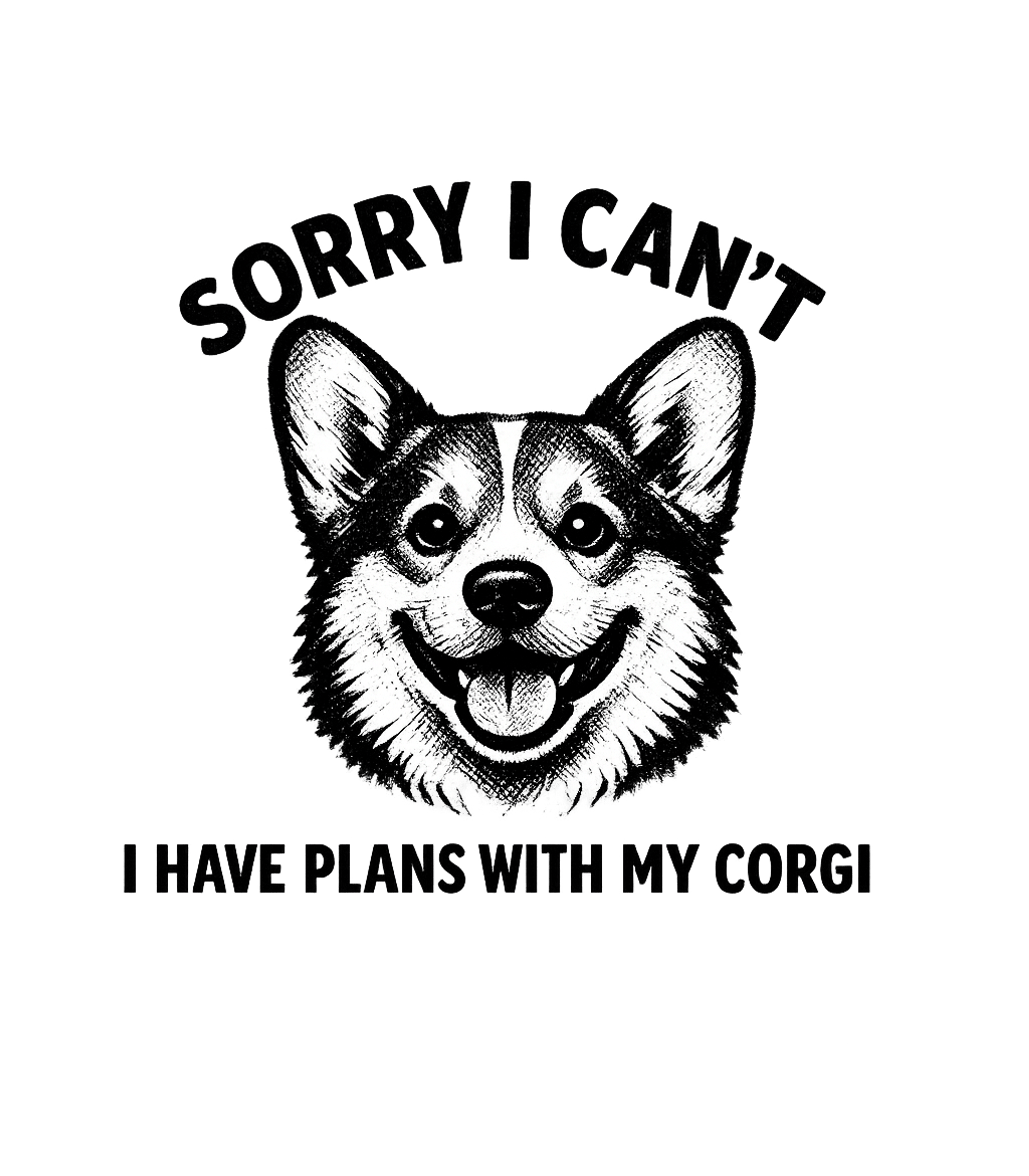 Corgi Plans Funny Dog