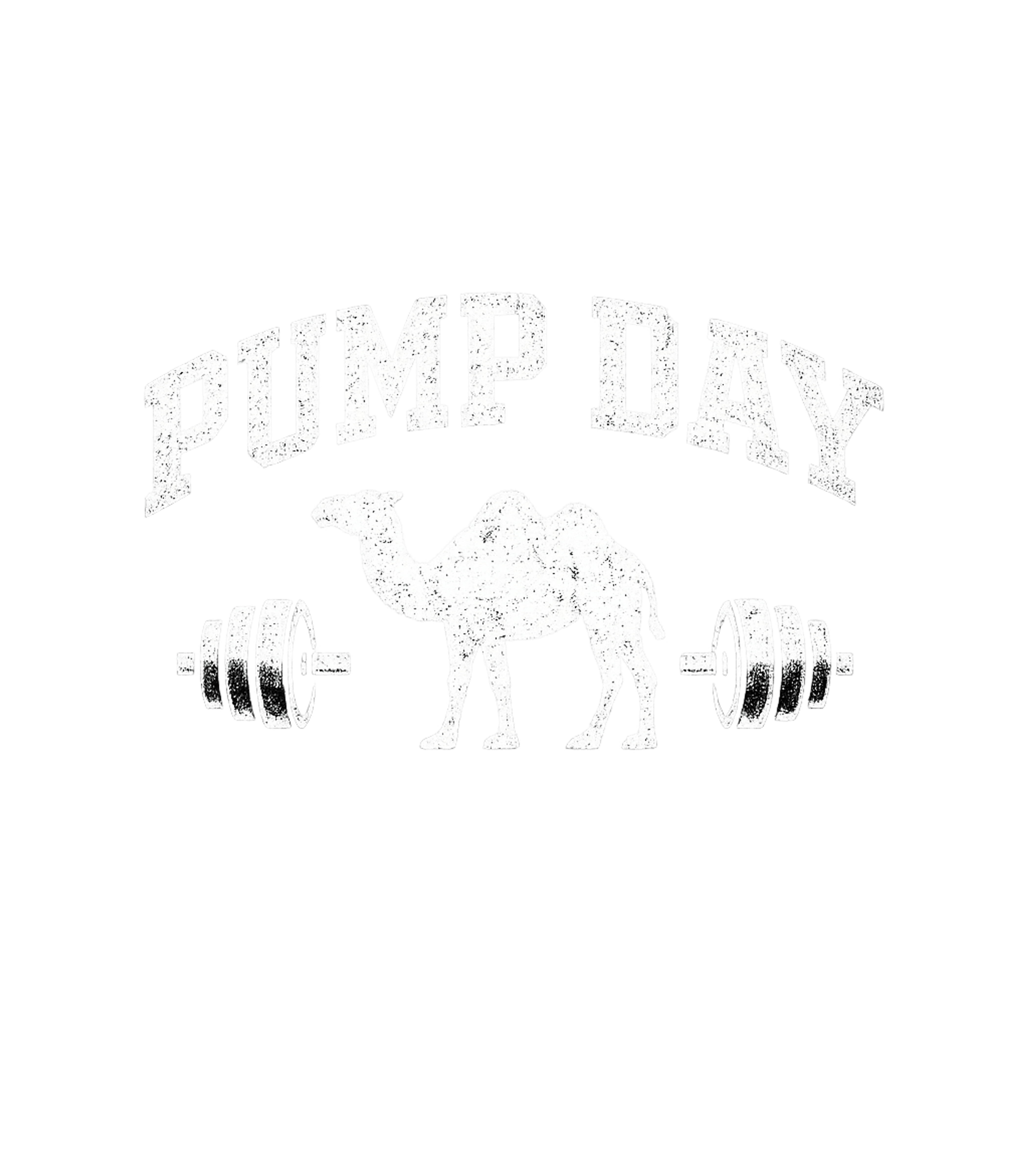 Camel Pump Day Workout