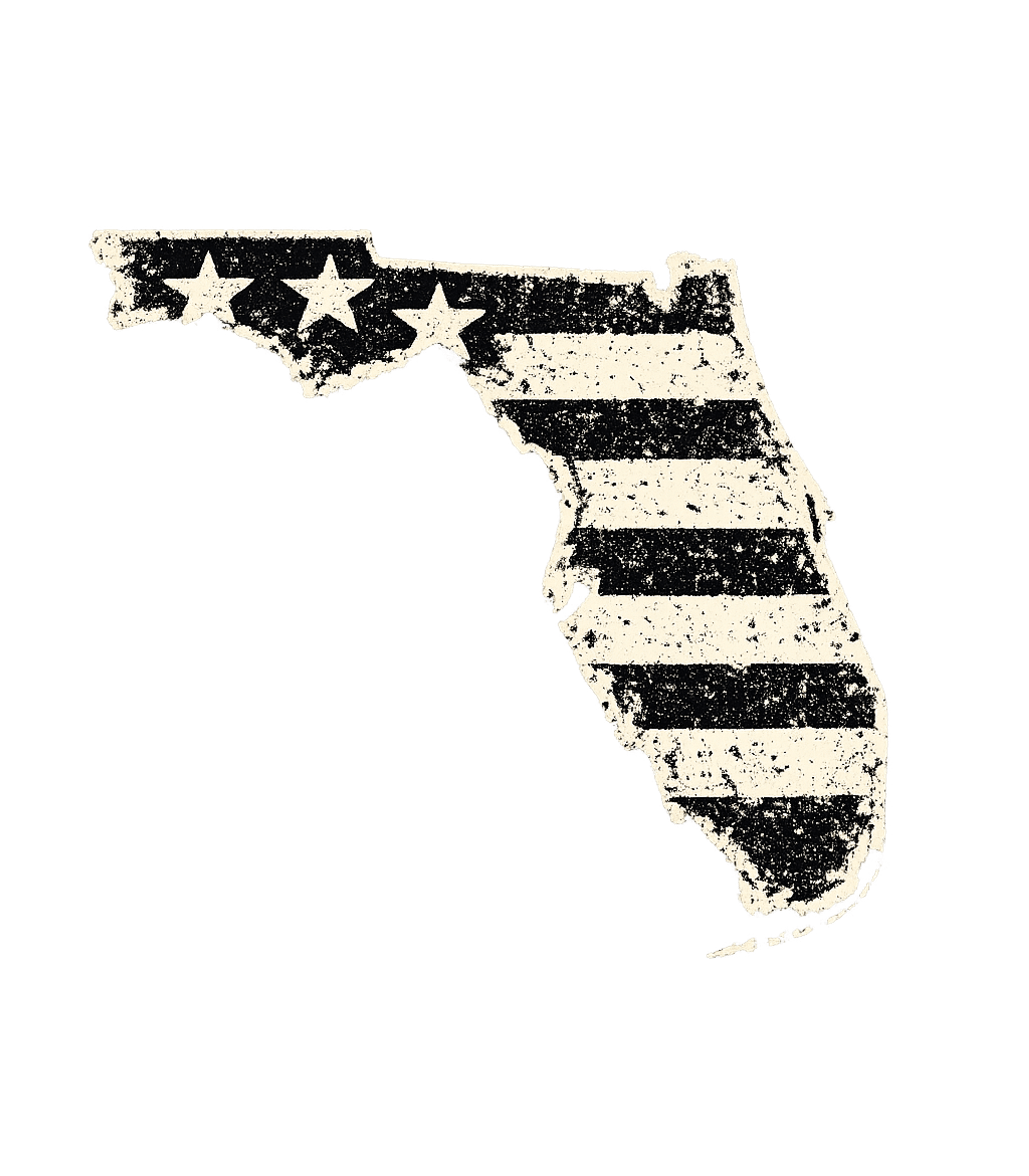 American Flag Florida Men's T Shirt