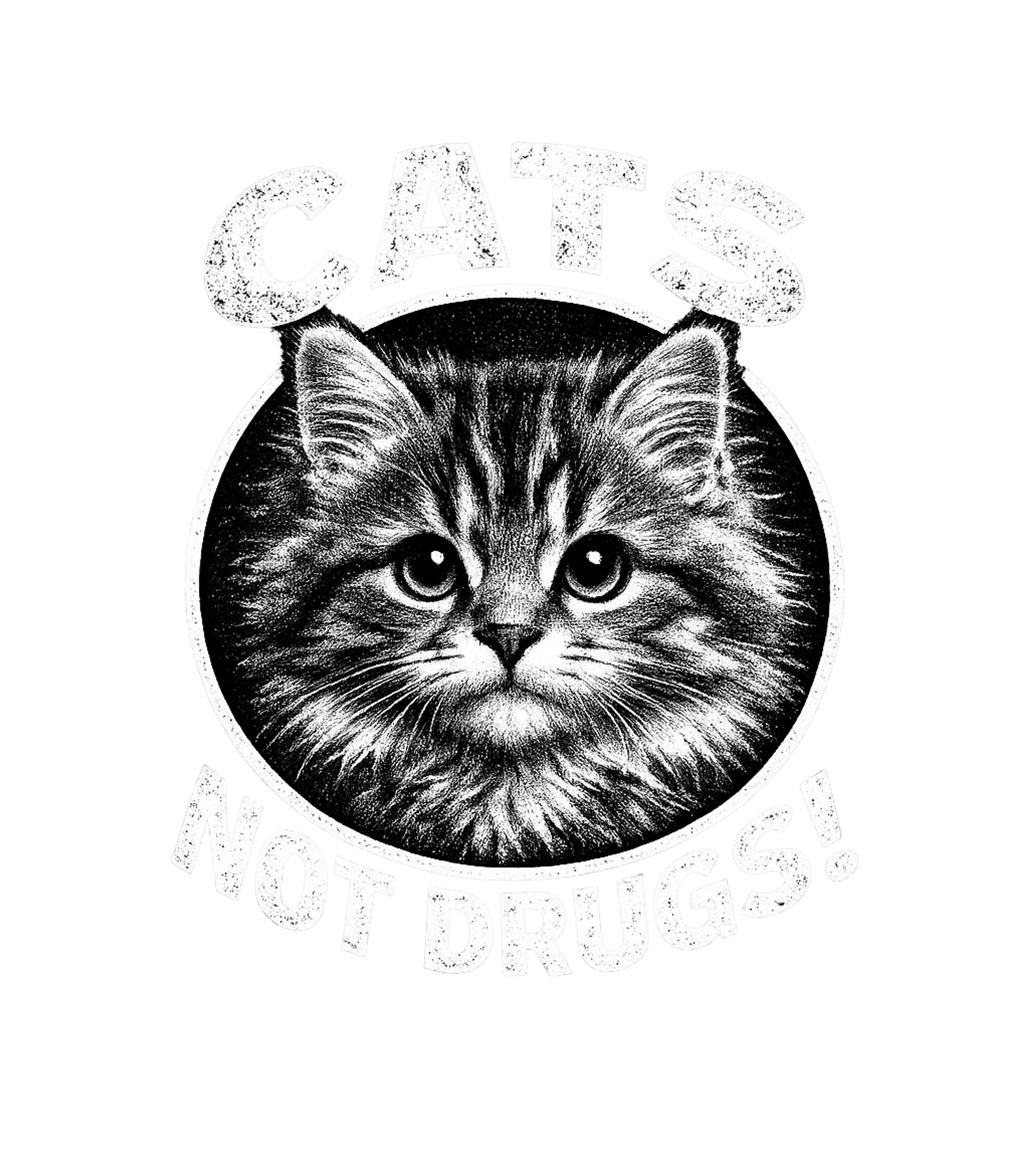 Cats Not Drugs