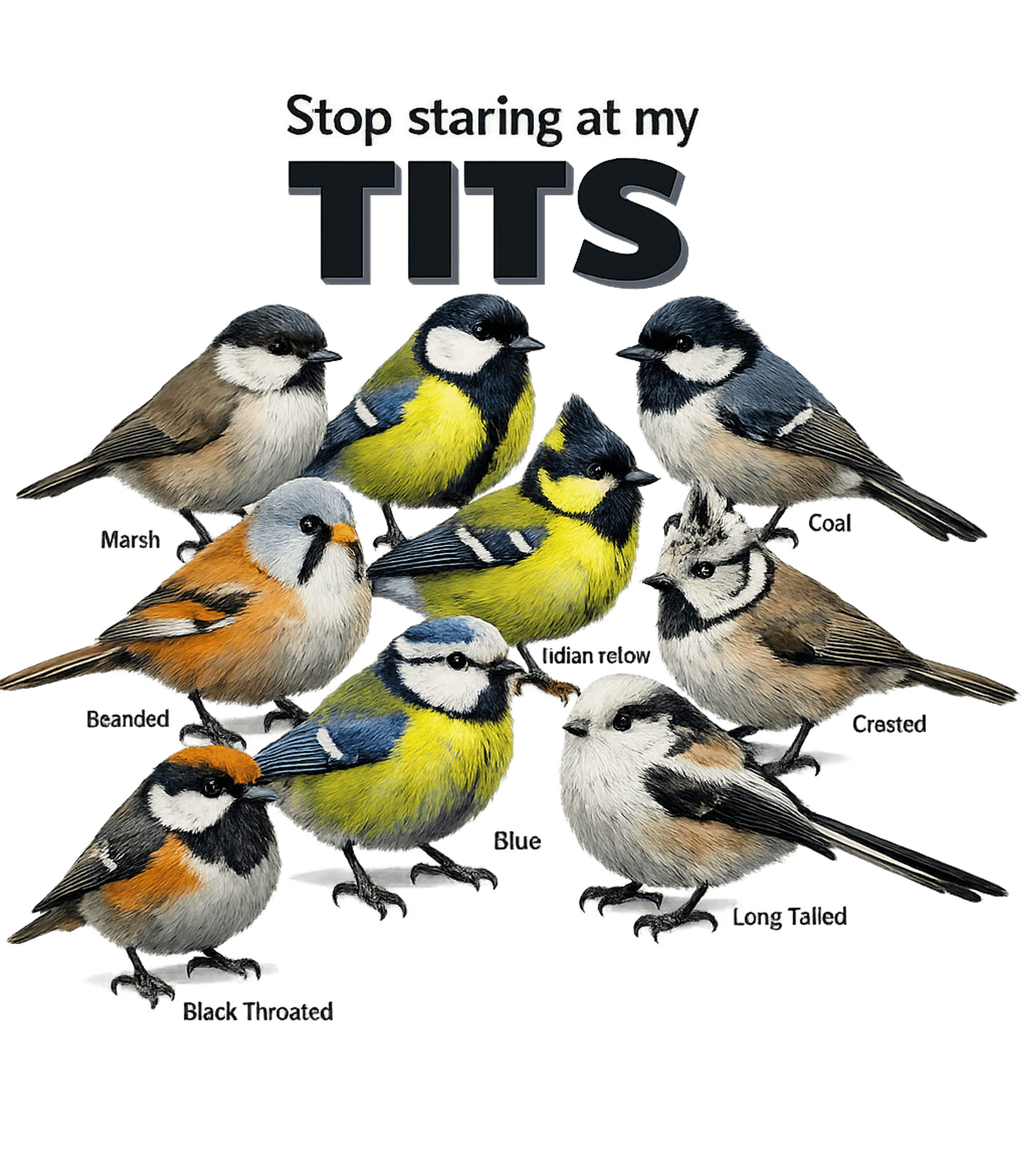 Best Sellers Boobies and Tits 2 Tee Bundle