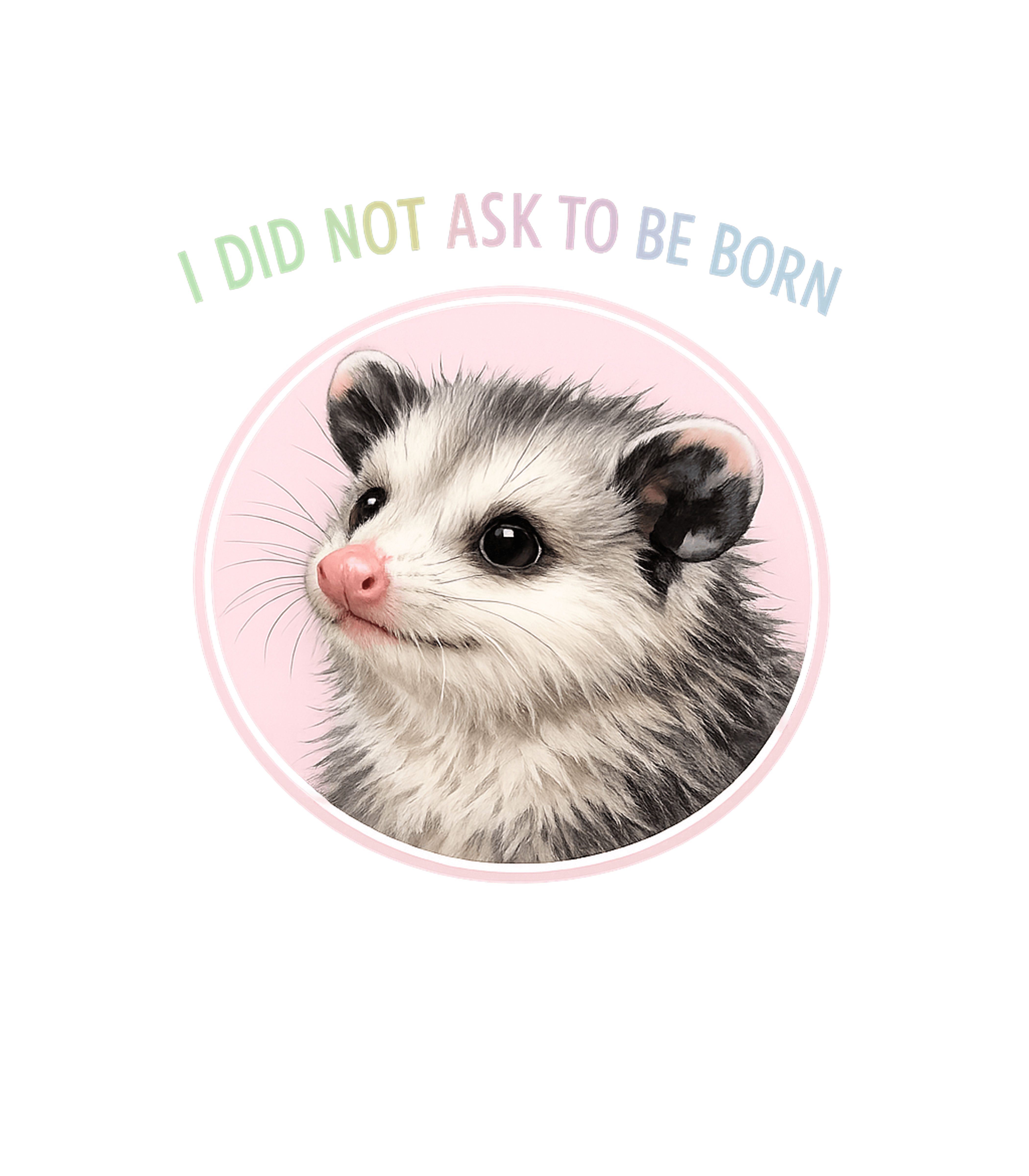 I Did Not Ask T-Shirt