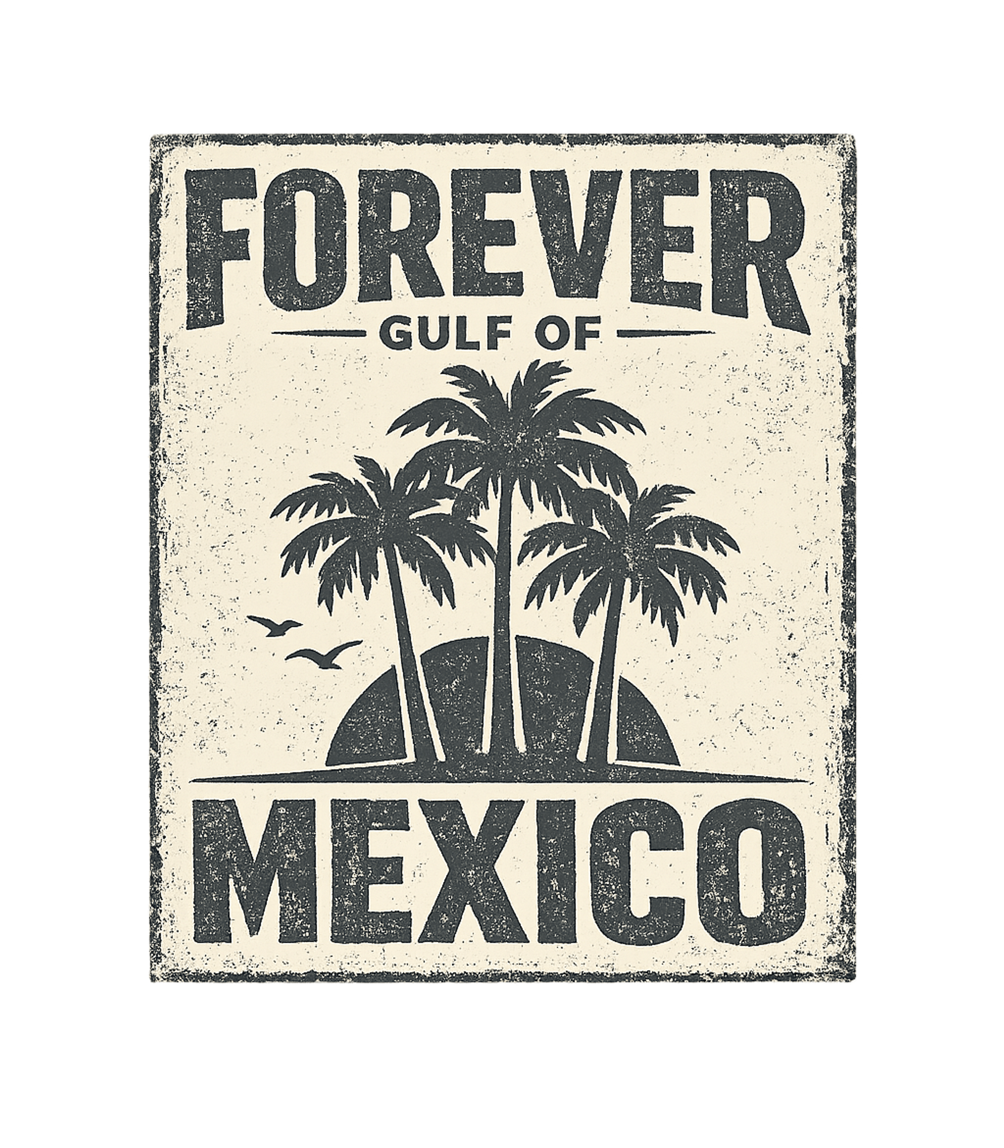 Vintage Gulf Of Mexico T-Shirt