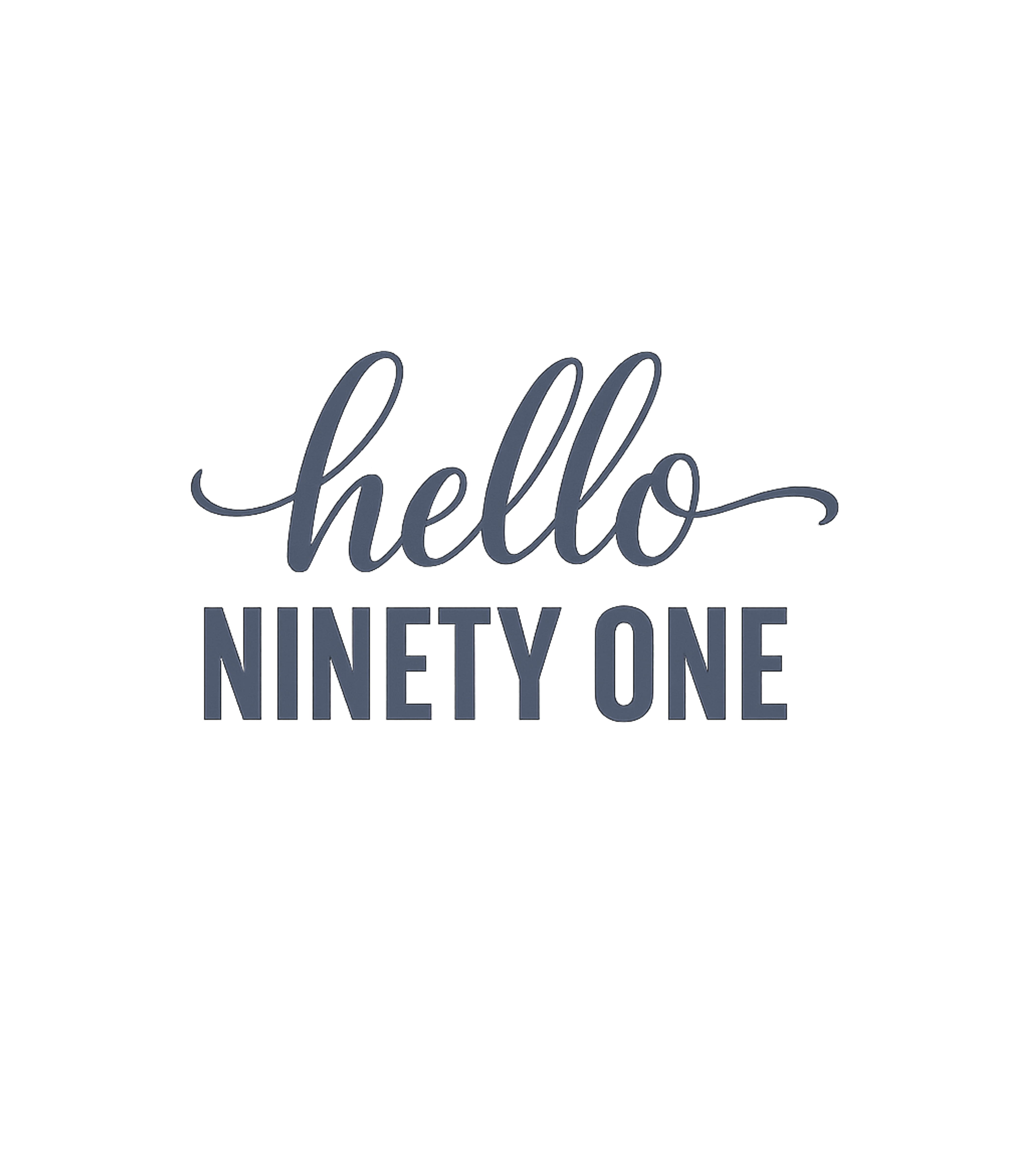 Hello Ninety One 91st Birthday Gift Hello 91 T-Shirt