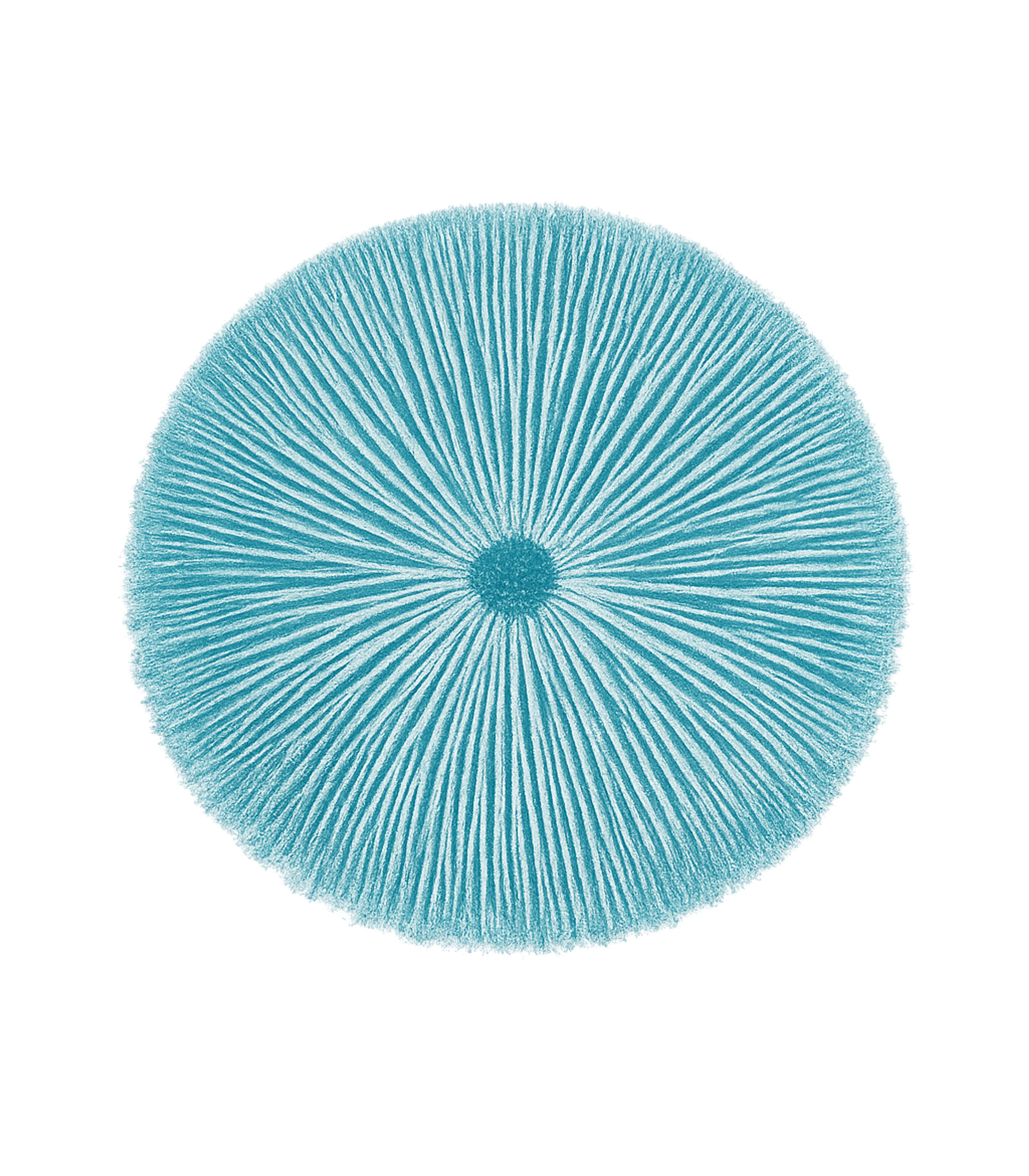Blue Mushroom Cap