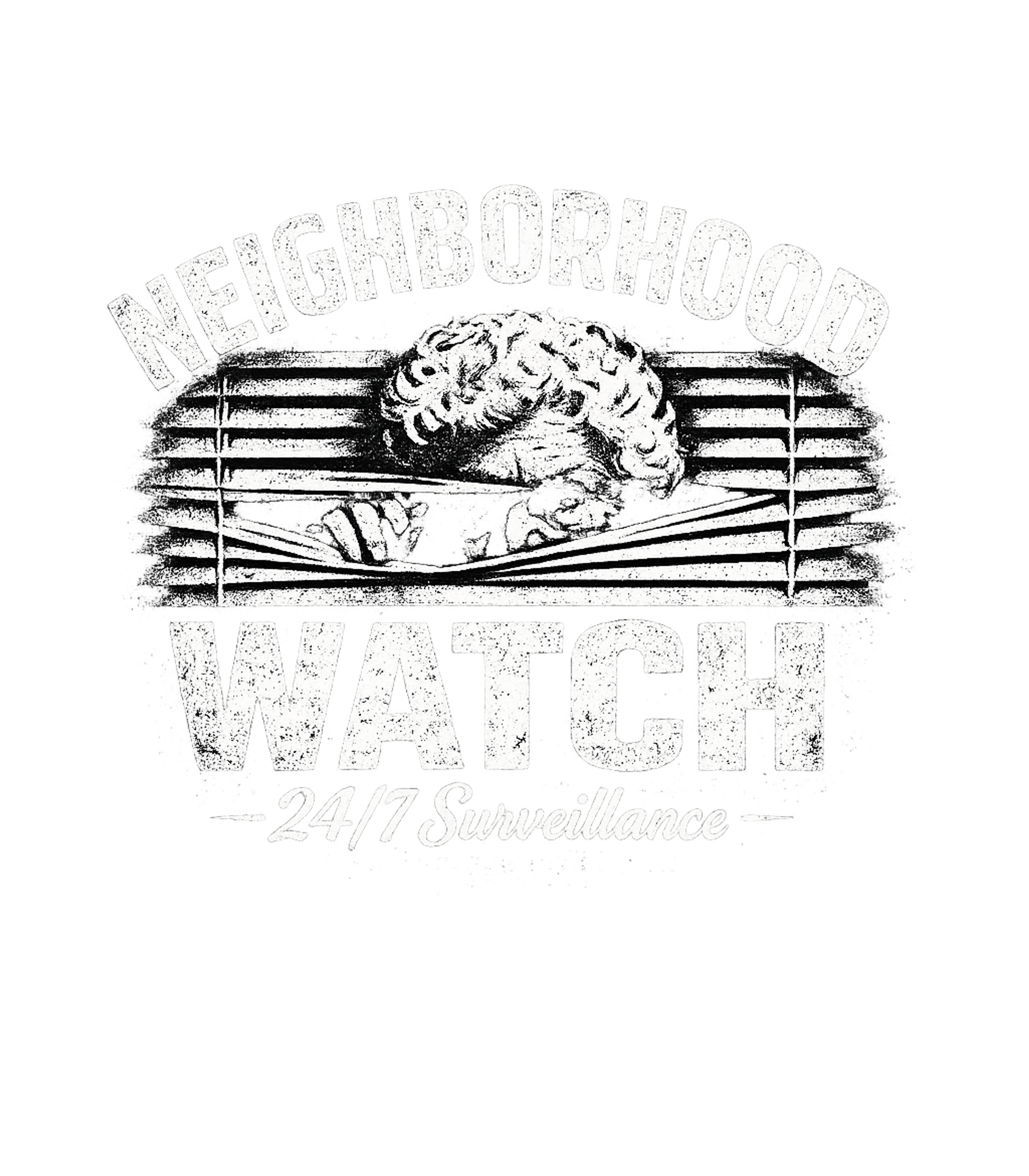 Neighborhood Watch Surveillance
