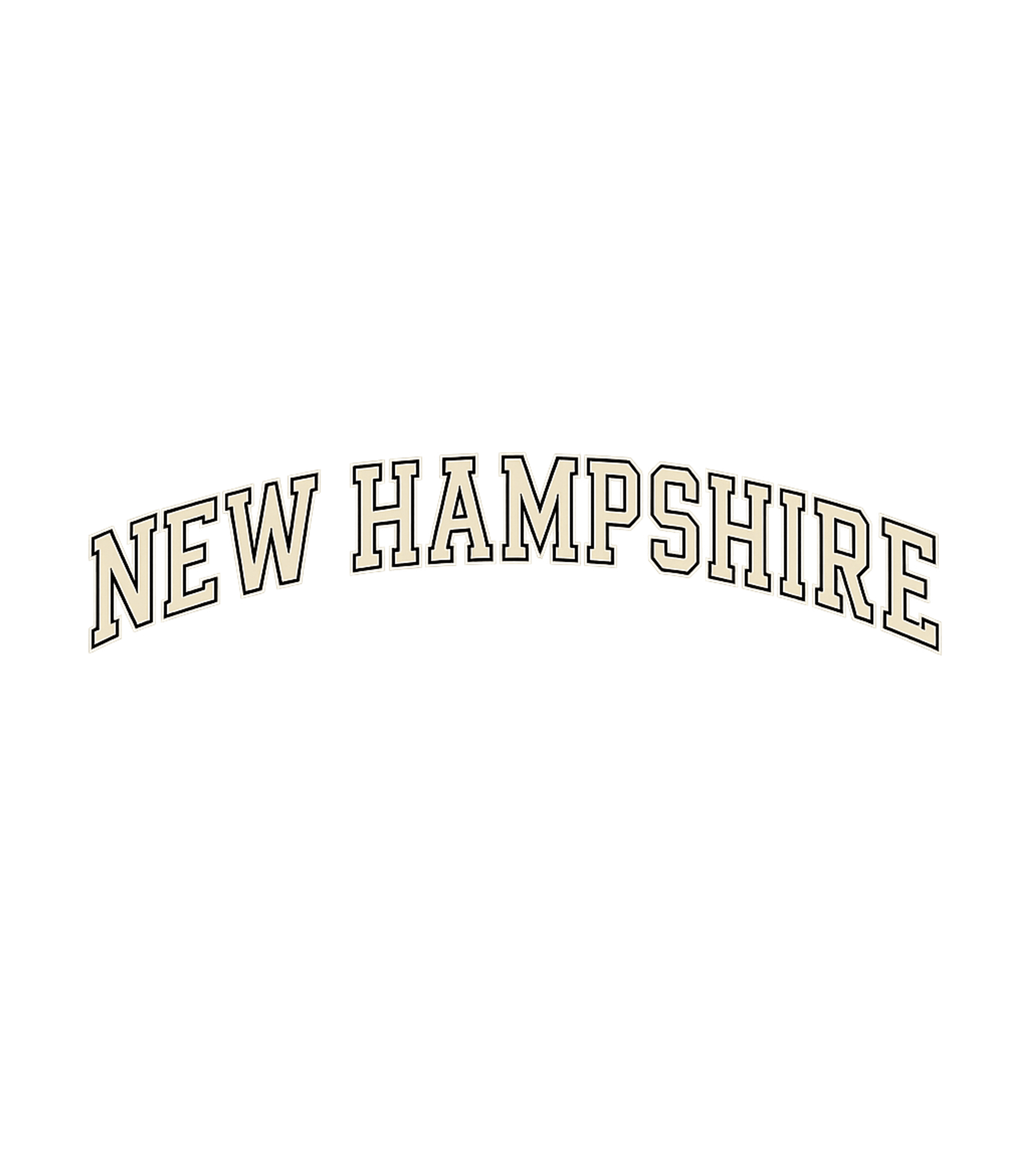 New Hampshire Trendy State Premium Heavyweight T-shirt