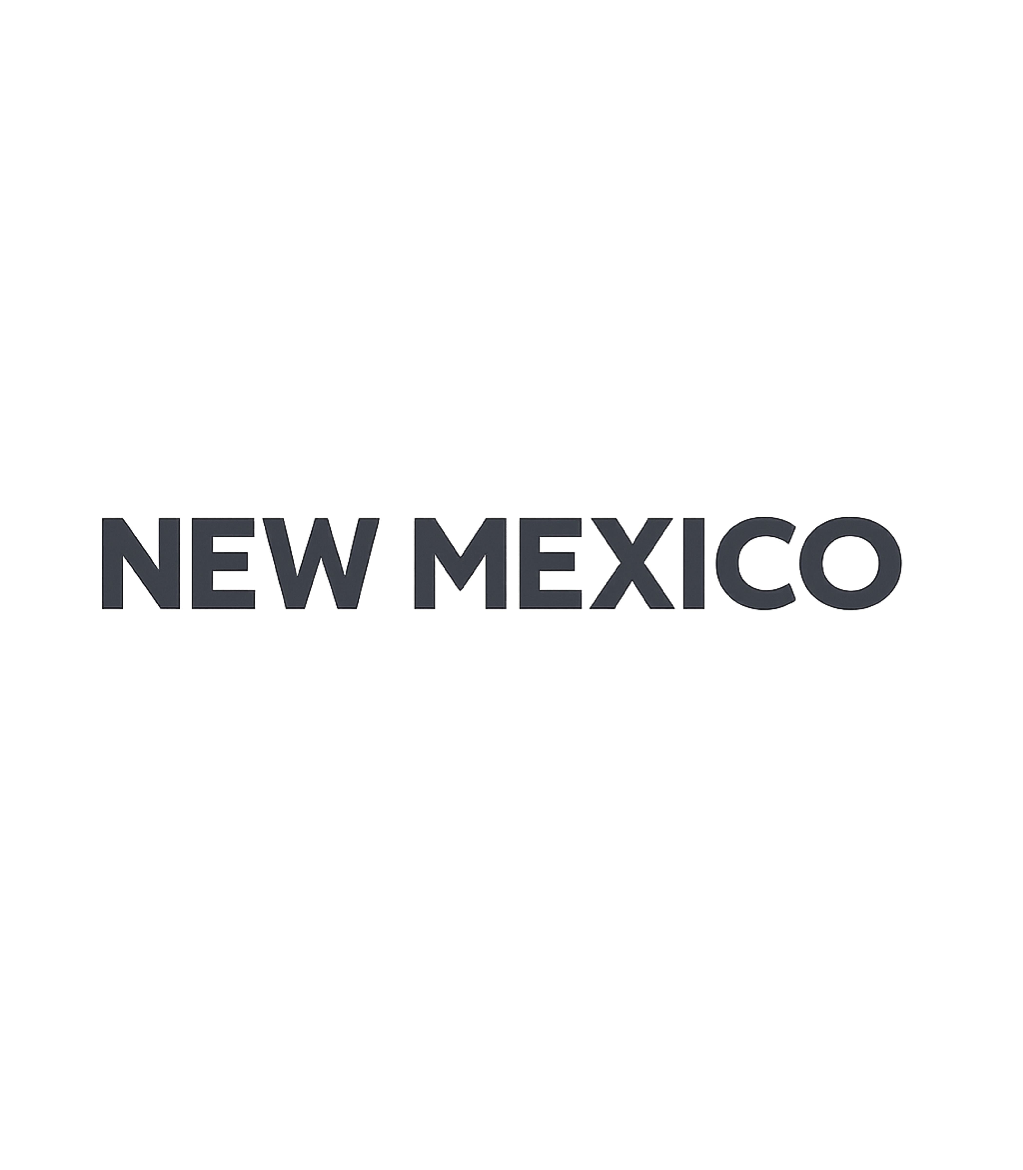 New Mexico Block Letter Basic T-Shirt