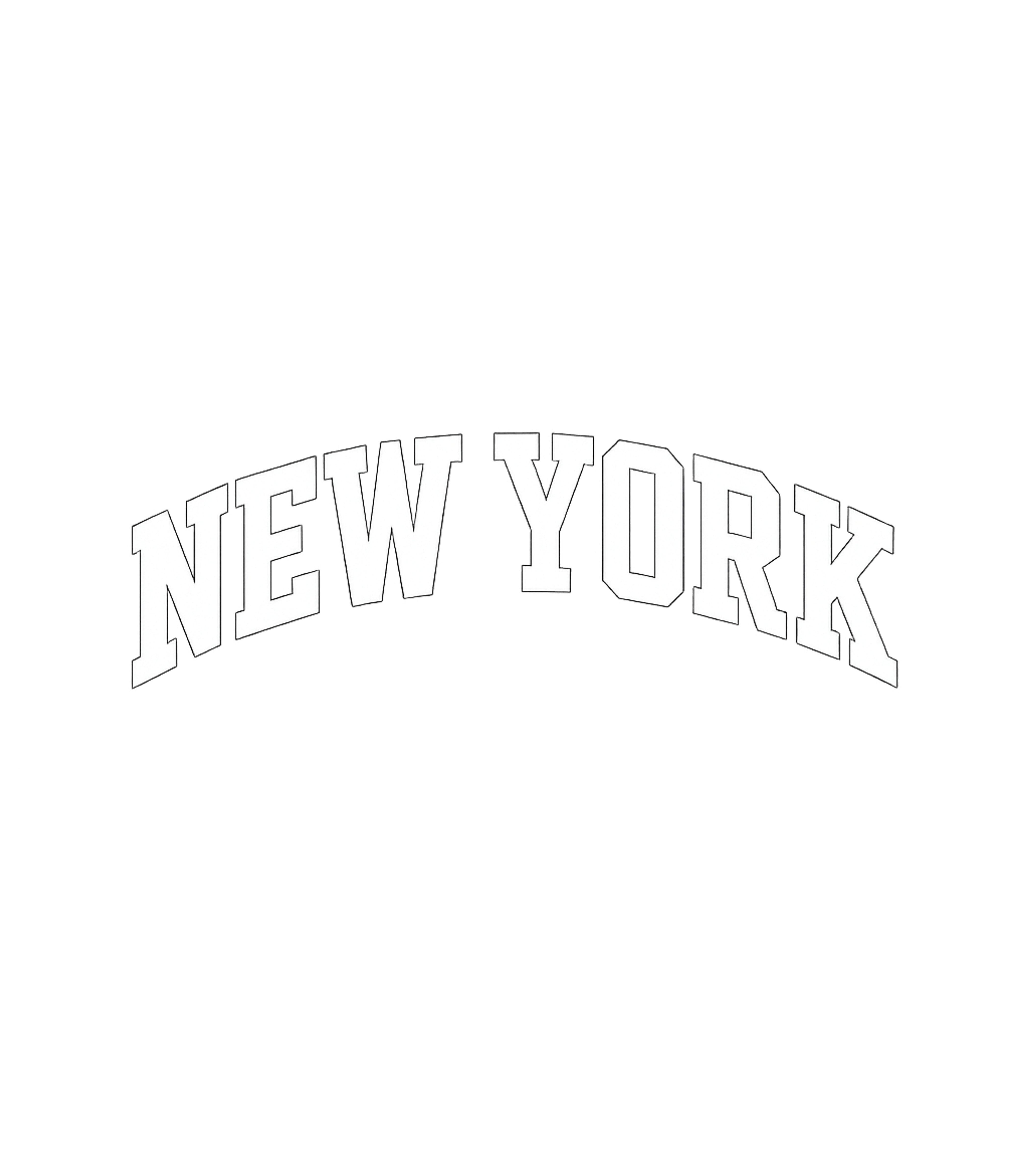 New York Trendy State Premium Heavyweight T-shirt