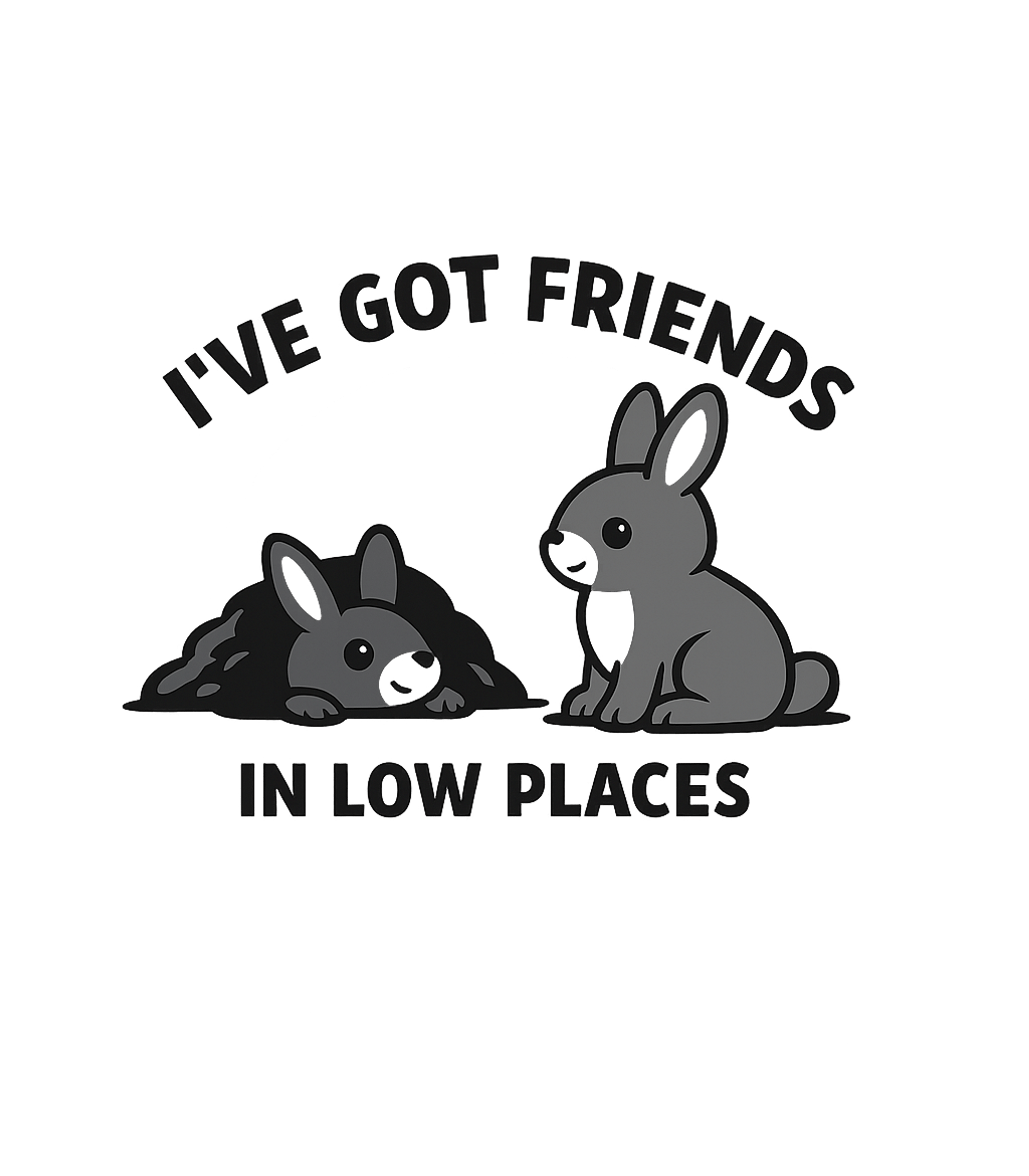 I've Got Friends In Low Places Women's V-Neck Tee