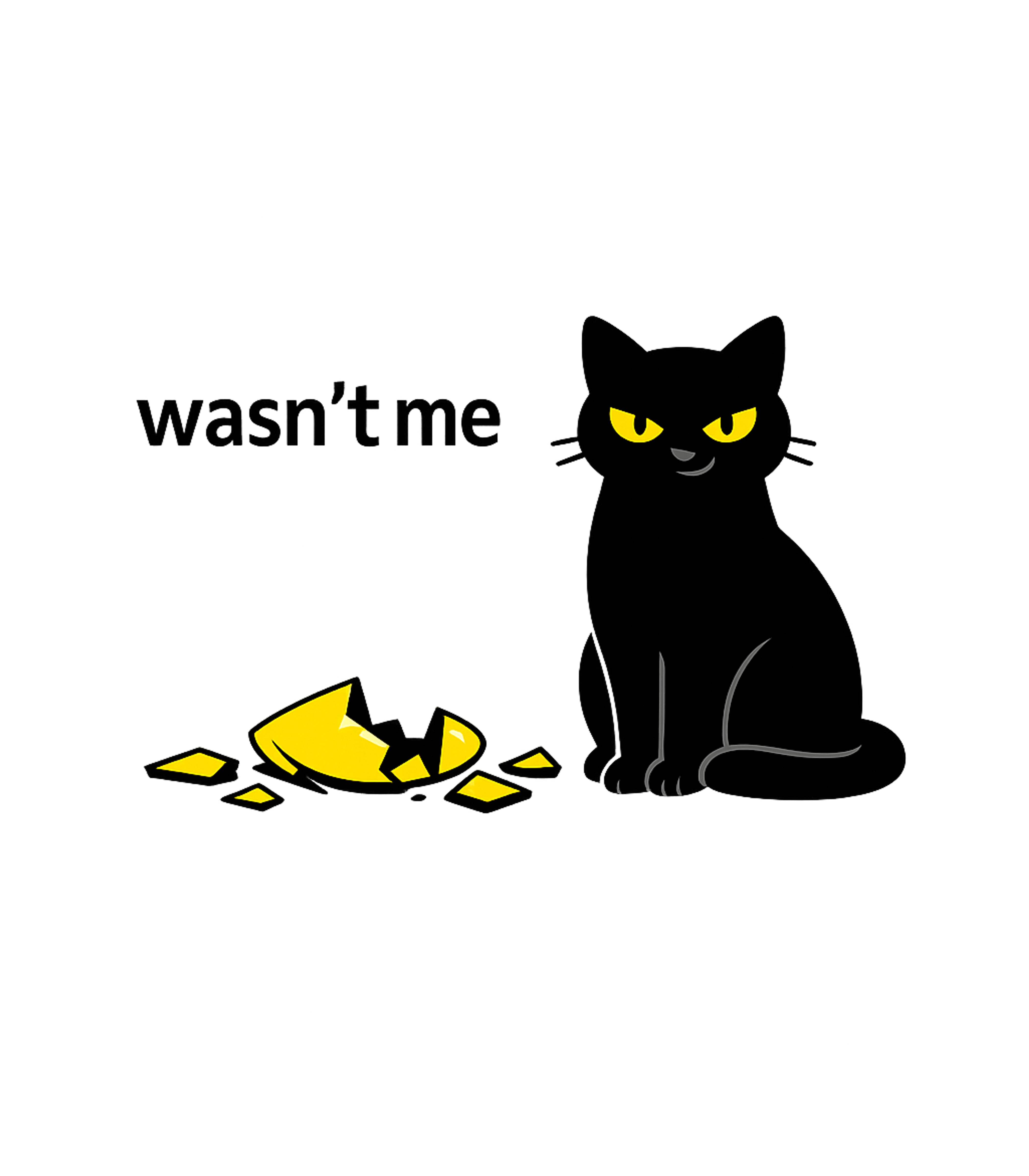 Mischievous Black Cat