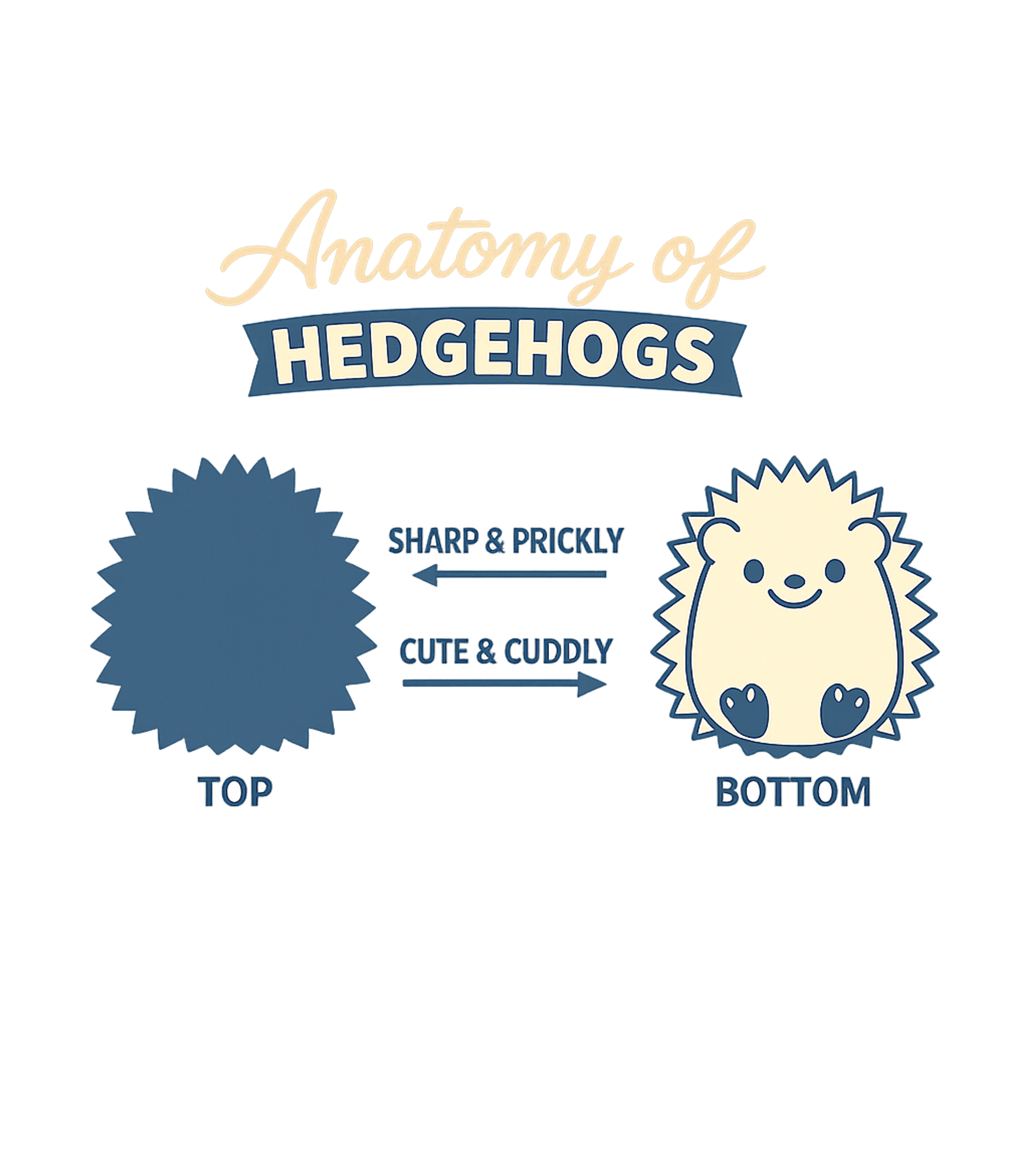 Anatomy Of Hedgehogs Women's V-Neck Tee