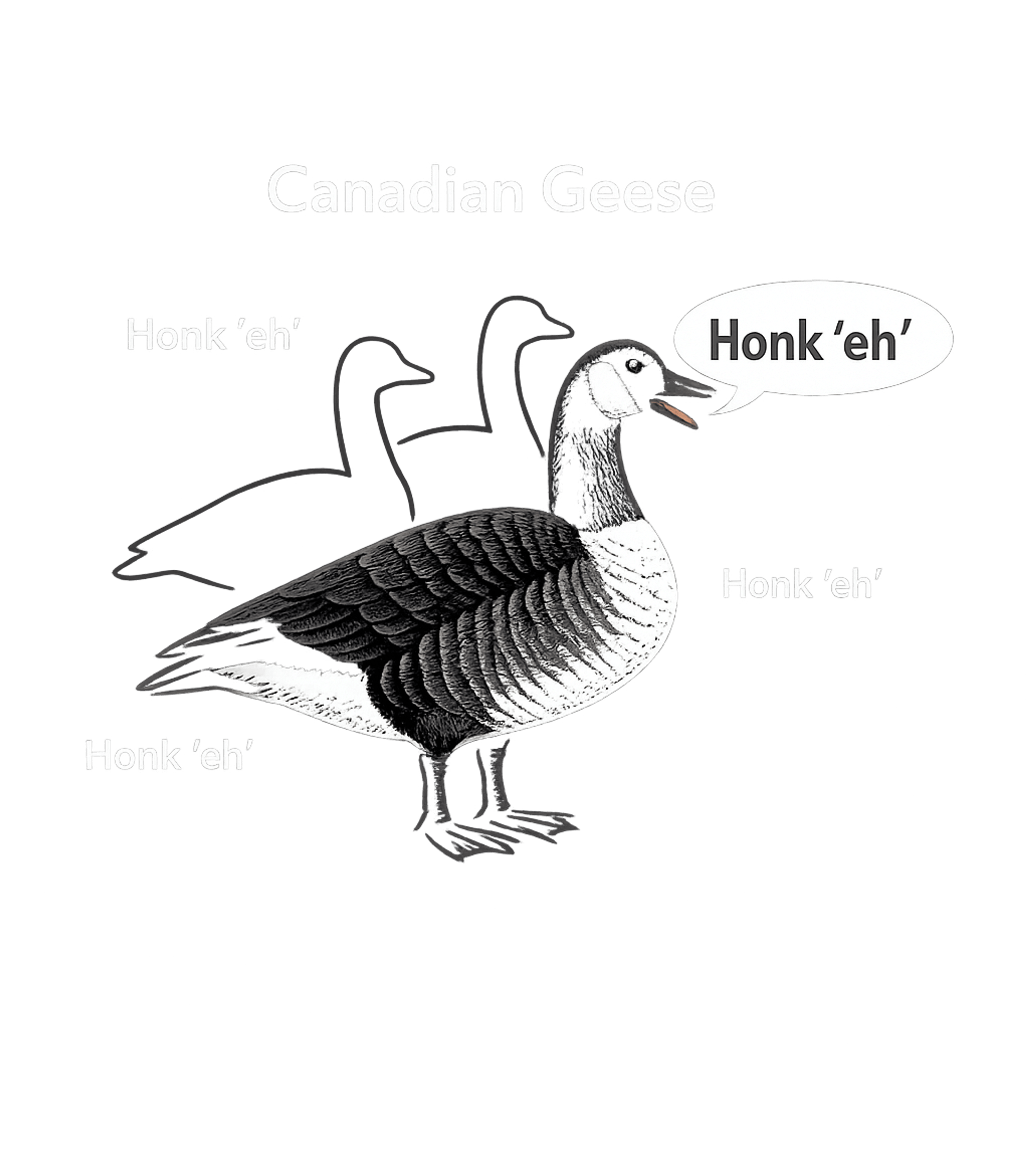Canadian Geese Women's V-Neck Tee