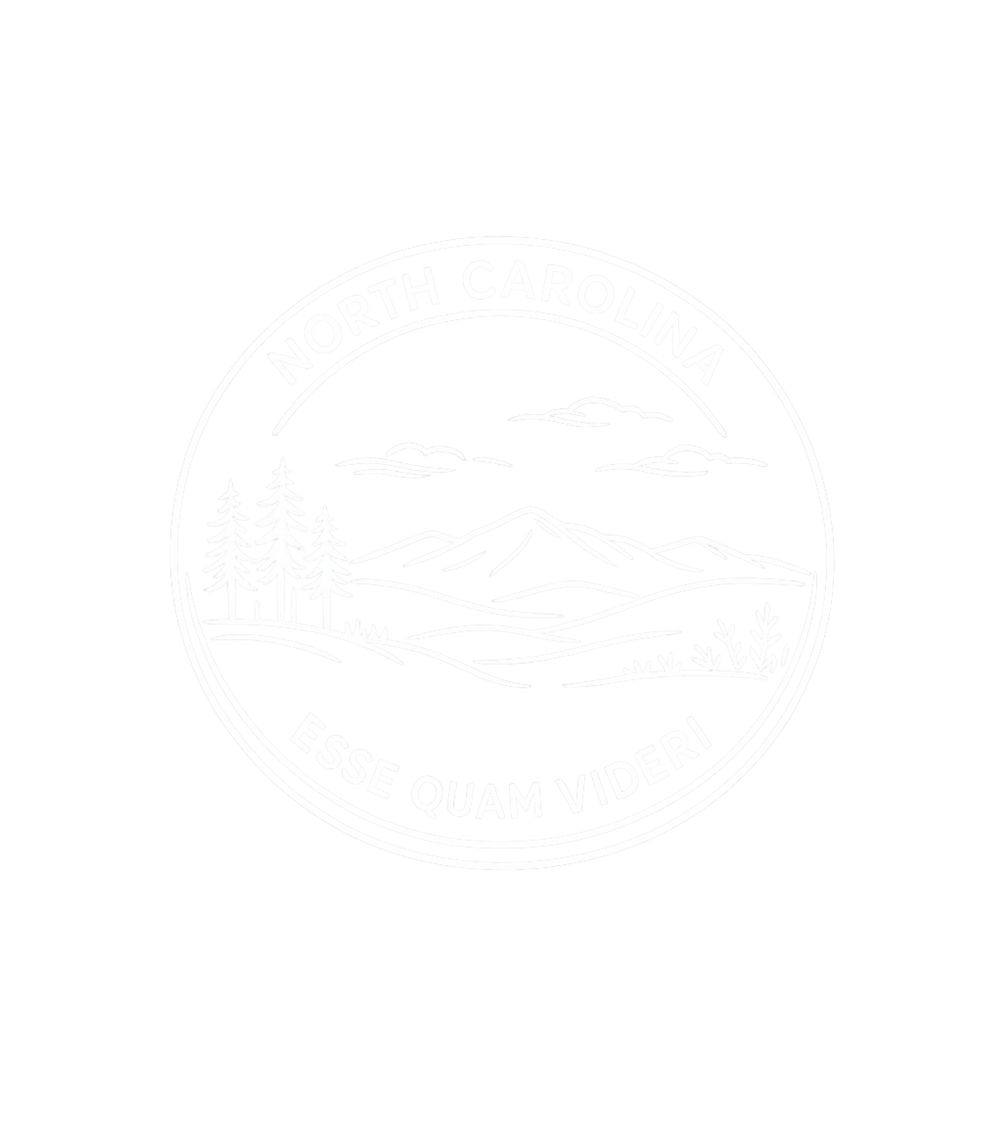 North Carolina Icon Basic T-Shirt