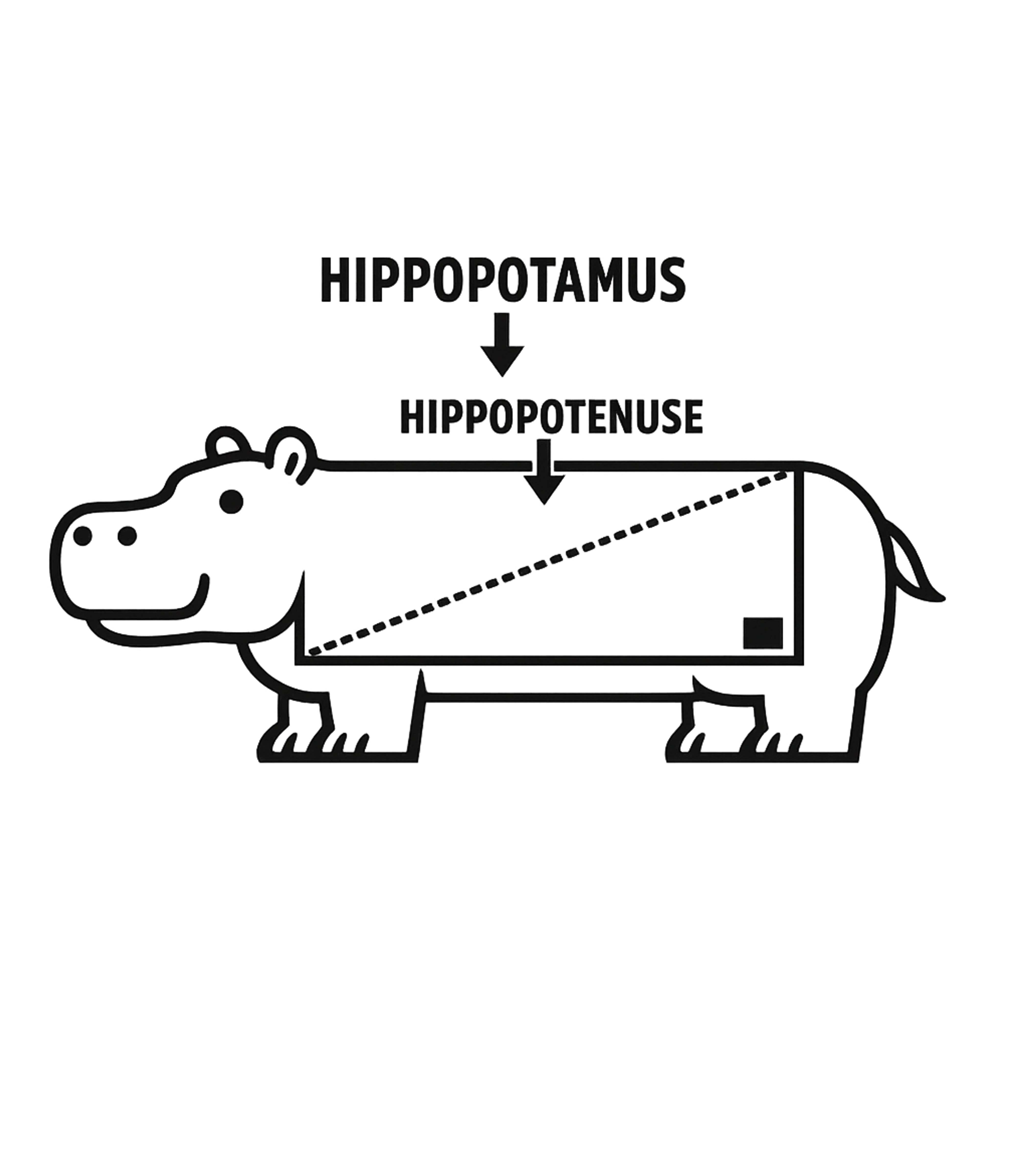 Hippopotamus Hypotenuse Pun
