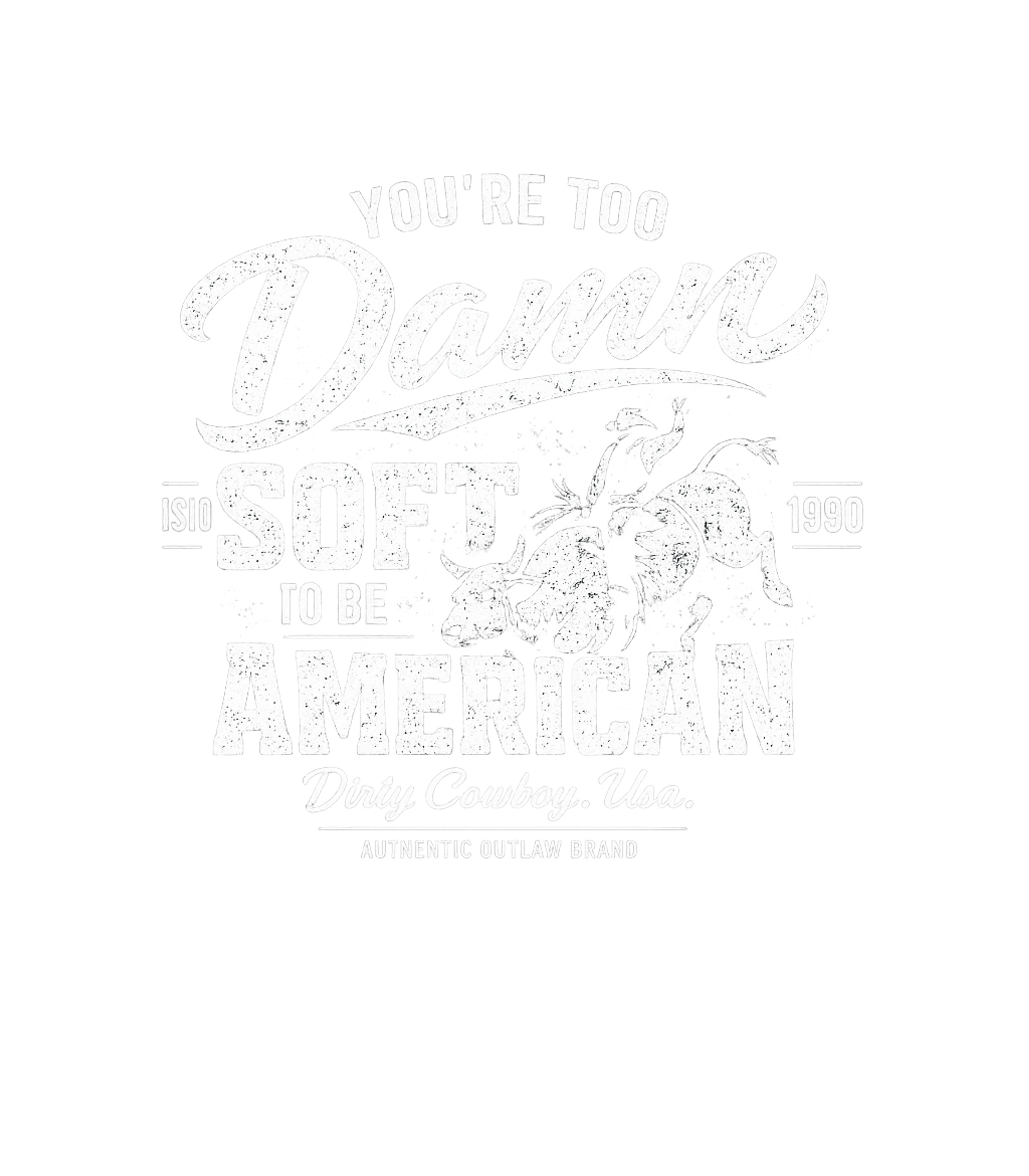 American Outlaw Cowboy