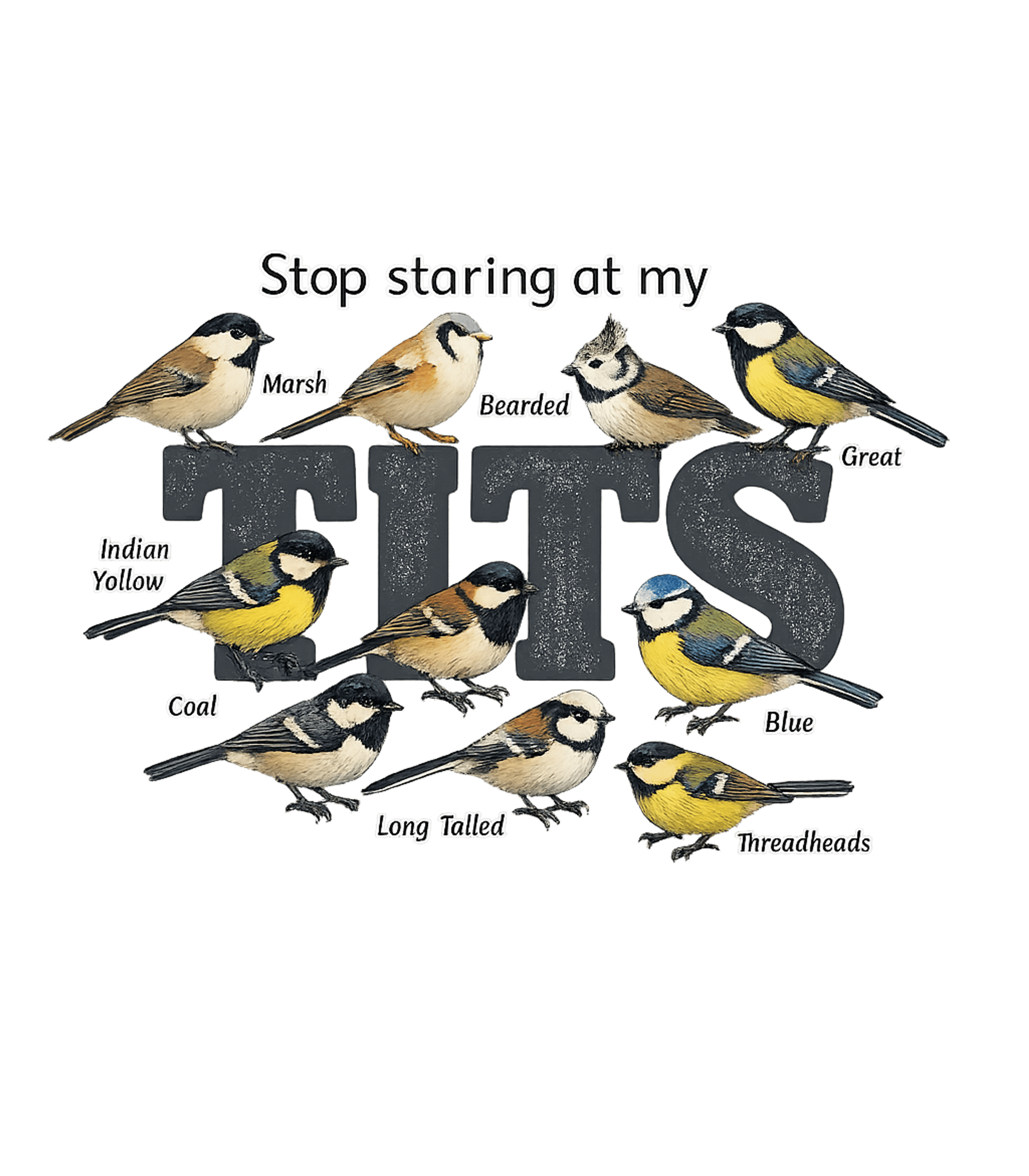 Funny Tit Birds Pun