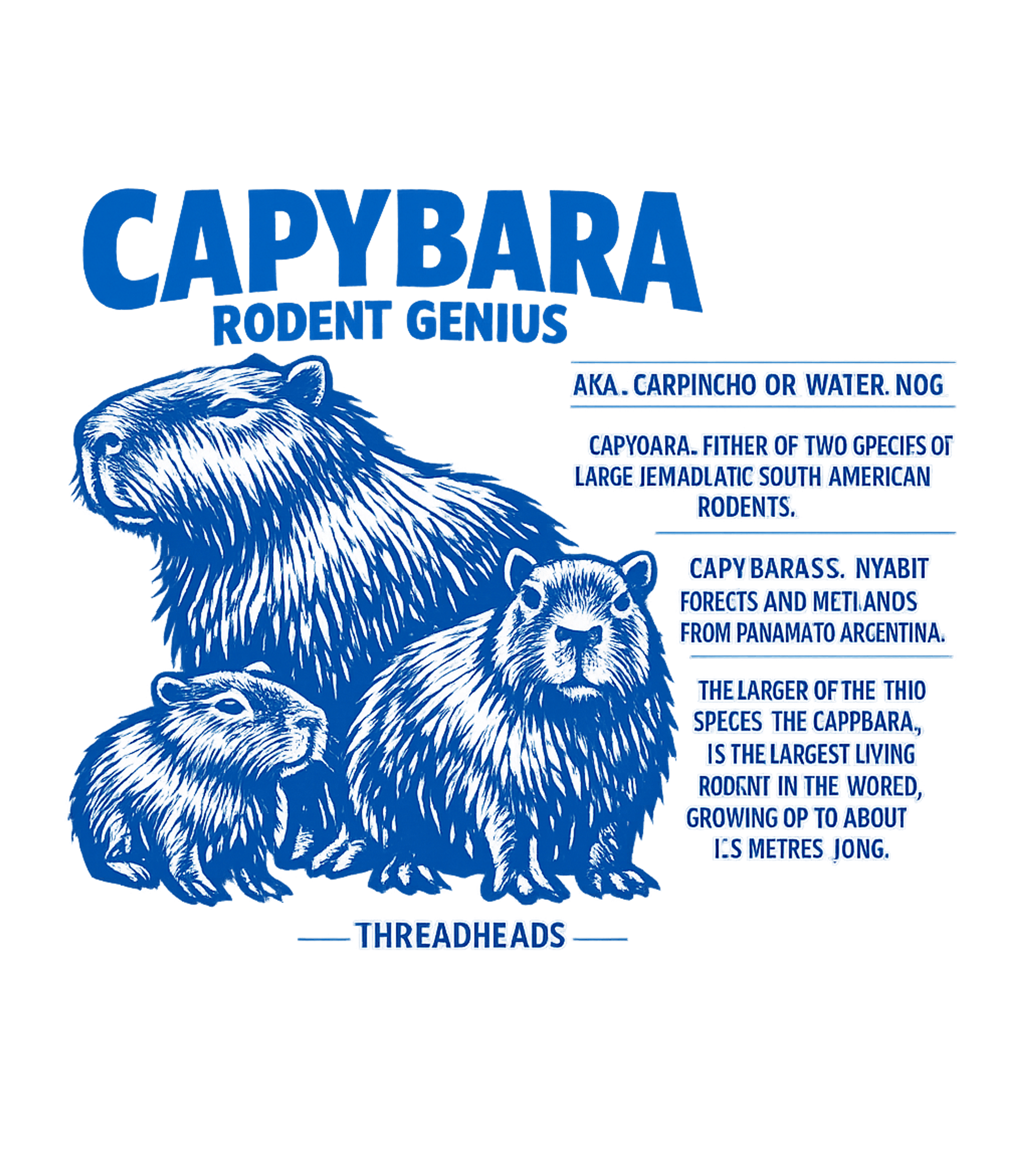 Capybara Rodent Genius