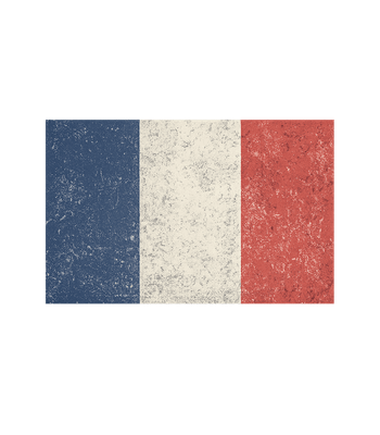 Distressed French Flag