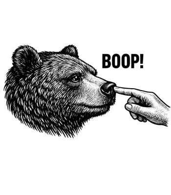 Bear Nose Touch
