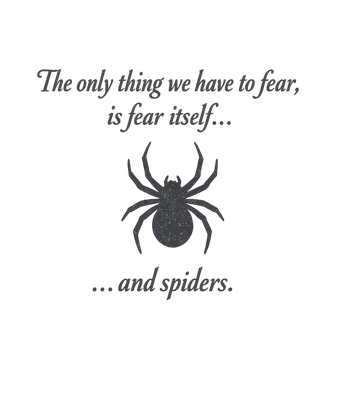 Fear And Spiders
