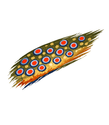 Trout Skin Pattern