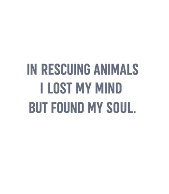 Animal Rescue Soul Found
