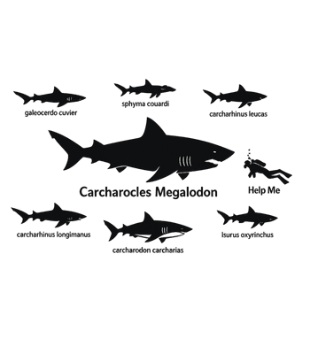 Megalodon Size Comparison