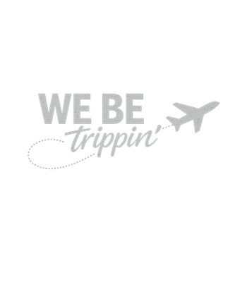 We Be Trippin' Plane