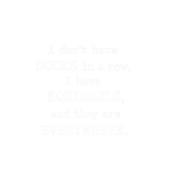 Squirrels Everywhere