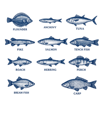 Vintage Fish Chart